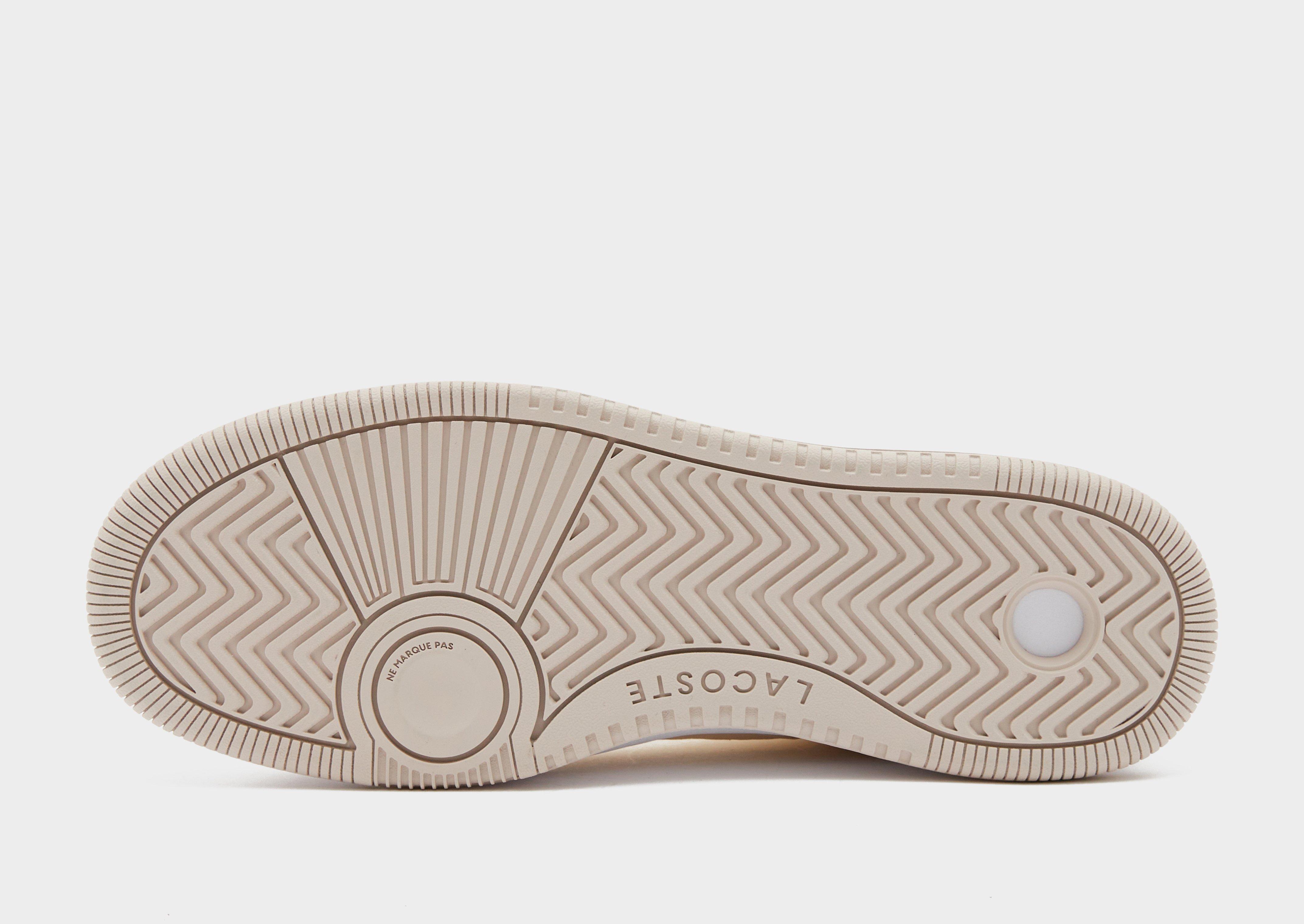 Lacoste Ace