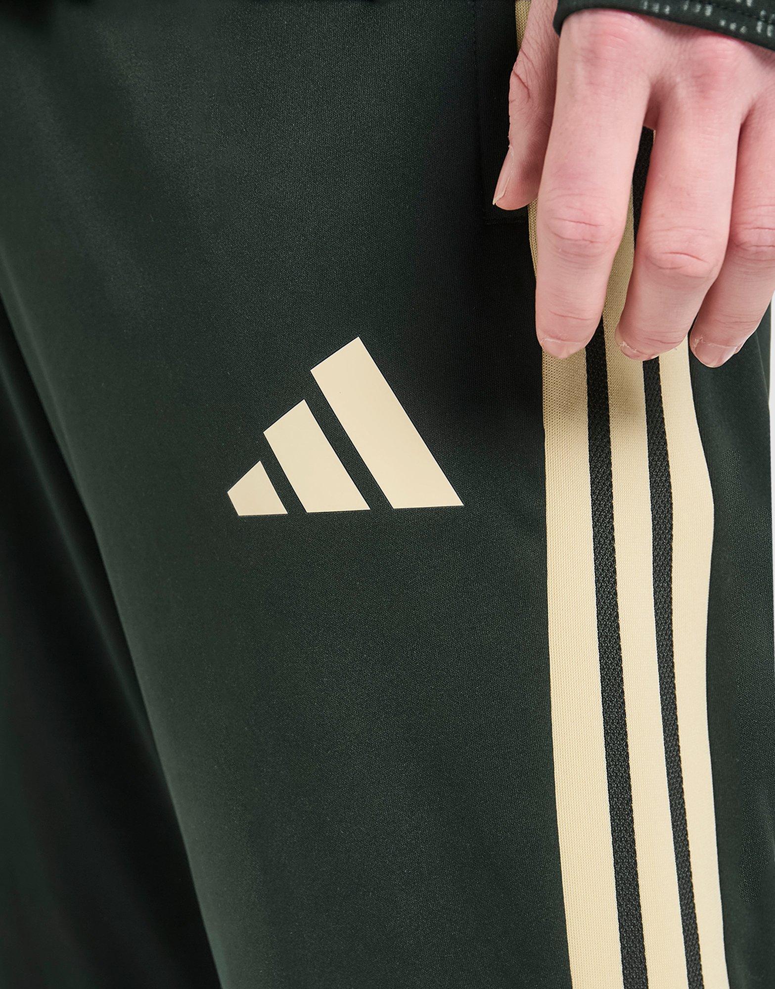 adidas Celtic FC Tiro 26 Training Track Pants