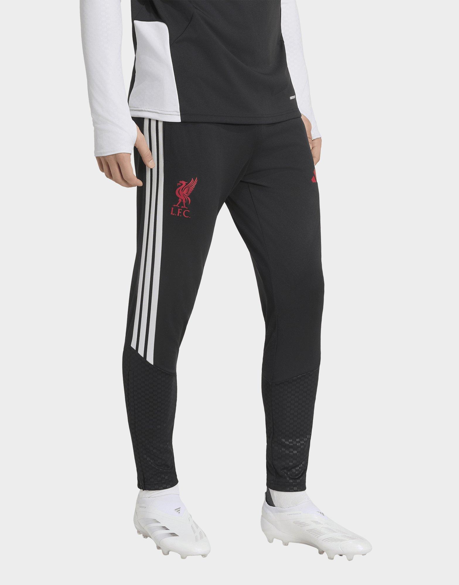 adidas Liverpool FC Tiro 26 Training Track Pants