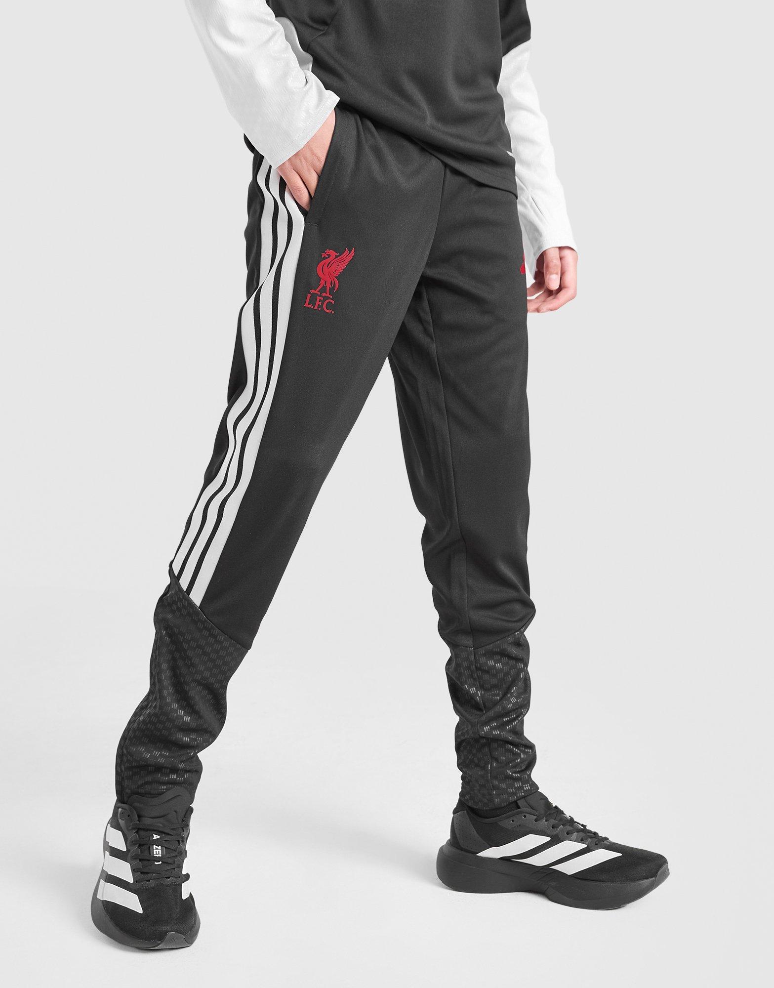adidas Liverpoool FC Tiro 26 Training Track Pants Junior