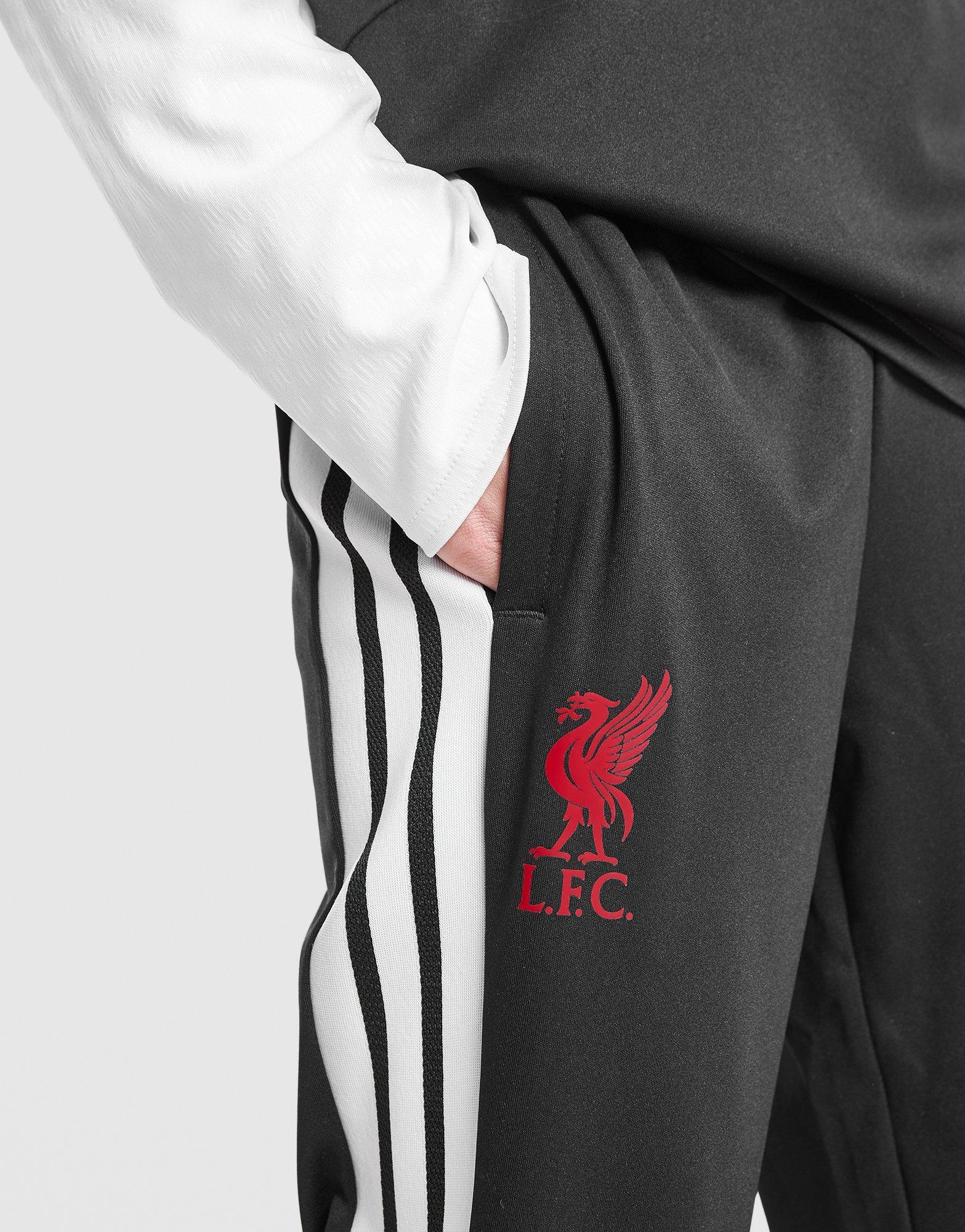 adidas Liverpoool FC Tiro 26 Training Track Pants Junior