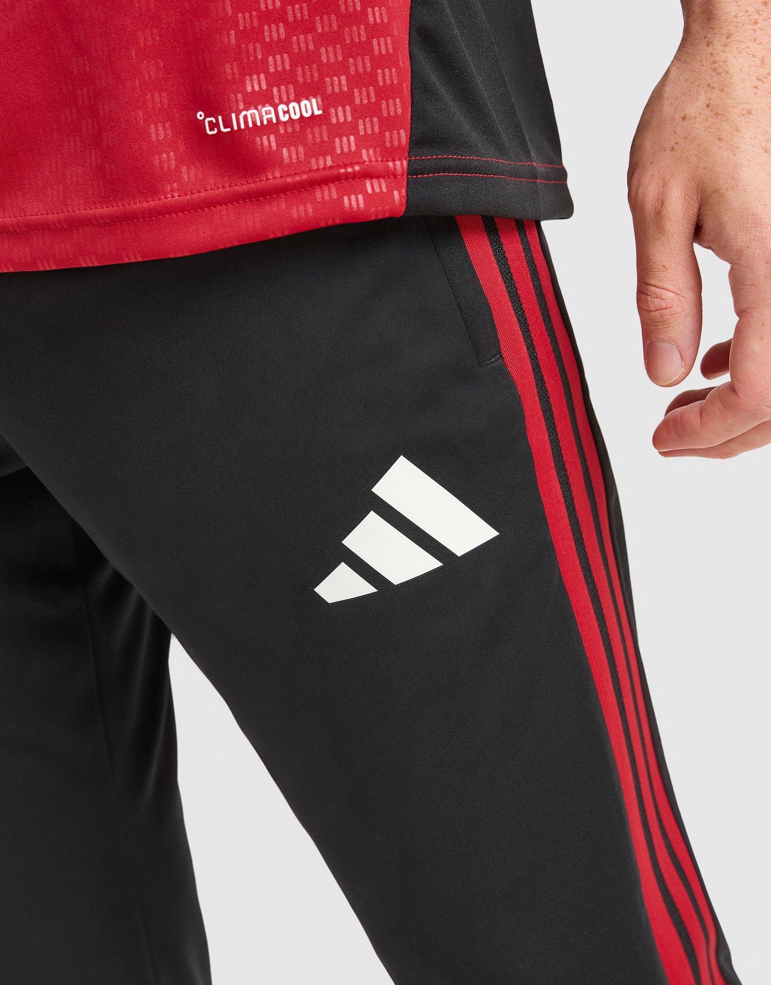 adidas Manchester United FC Tiro 26 Training Track Pants