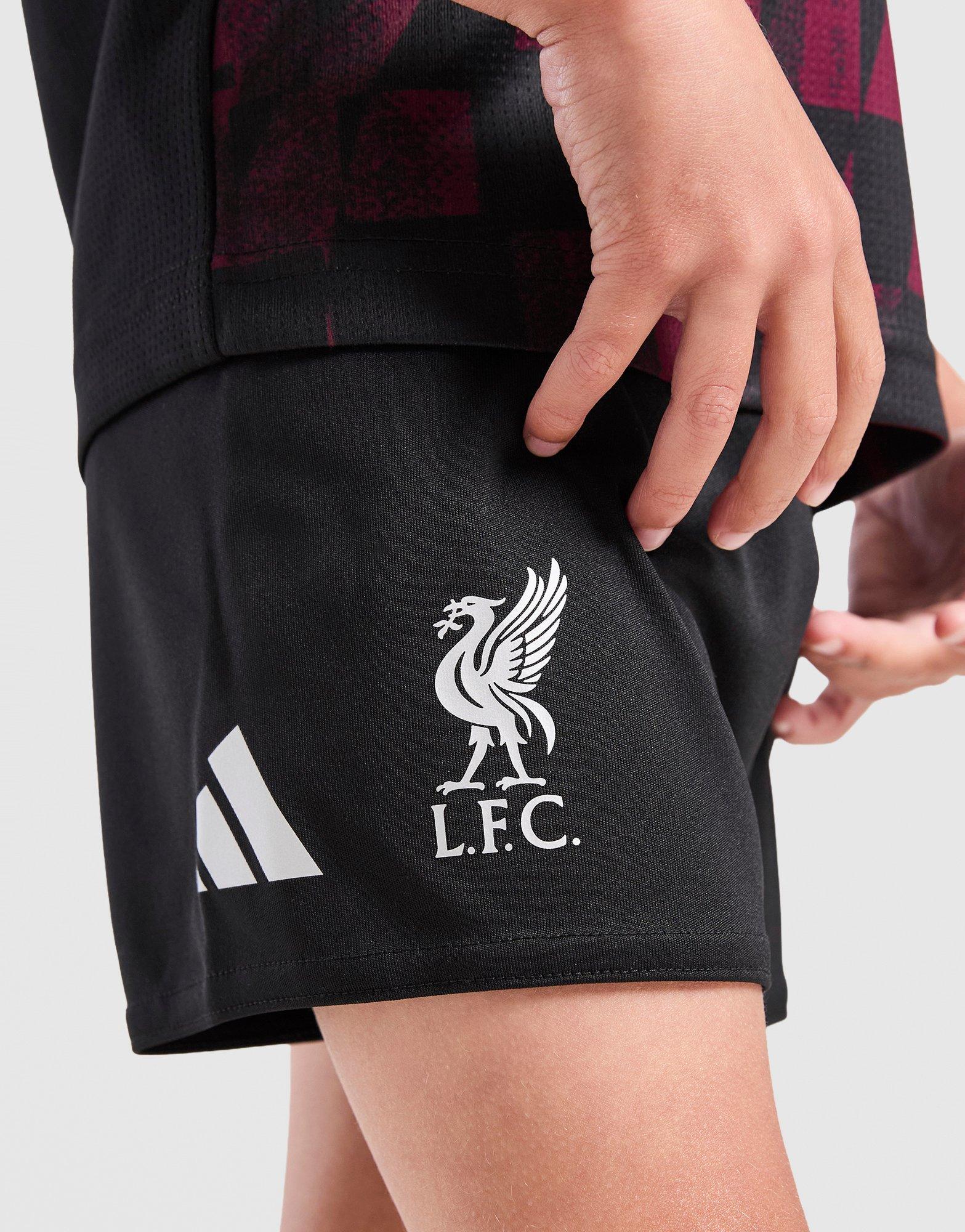 adidas Kit Third Liverpool Fc 26/27 Bébés