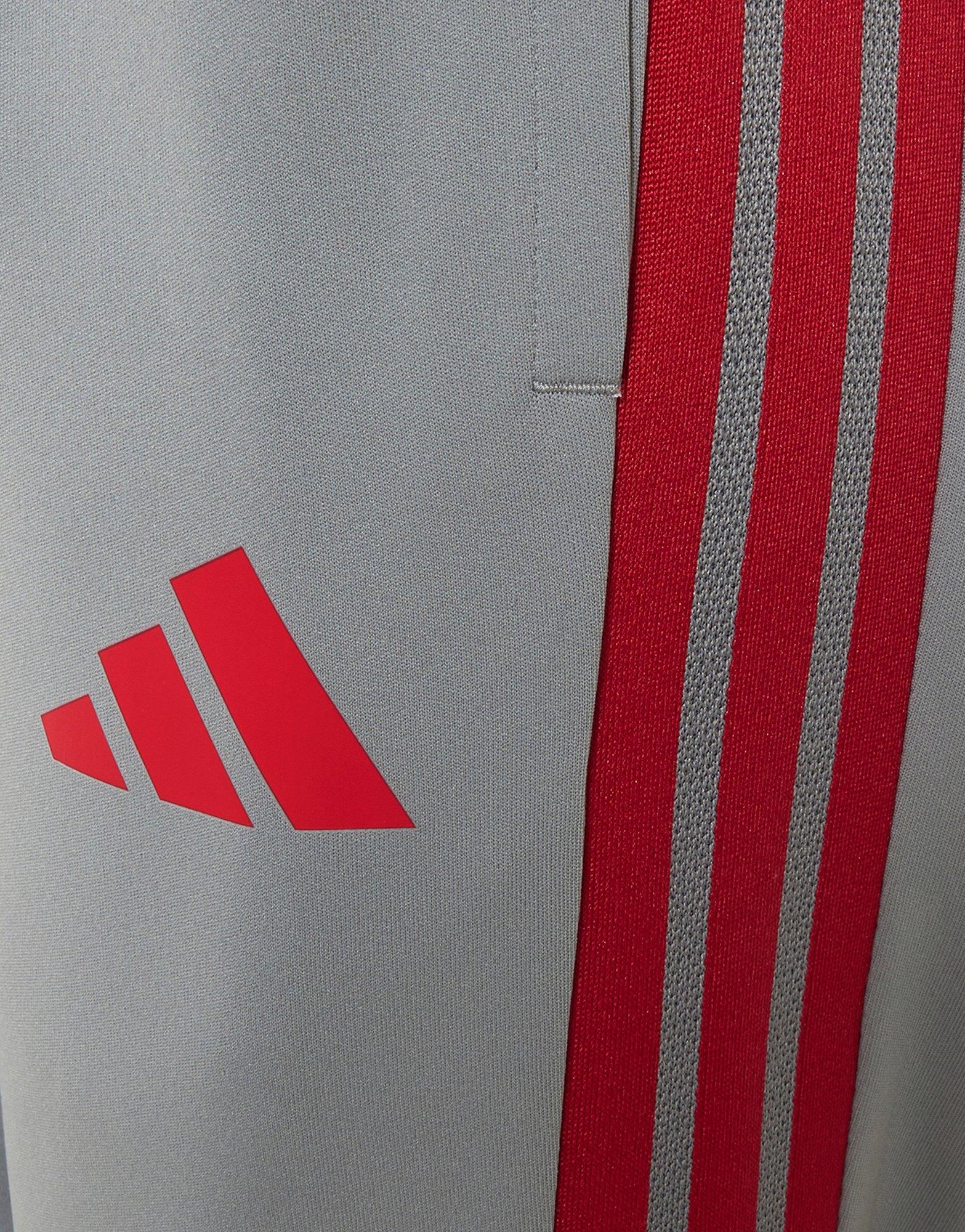 adidas Liverpool FC European Training Pants Junior