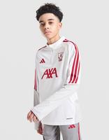 adidas Liverpool FC European Training Top Junior