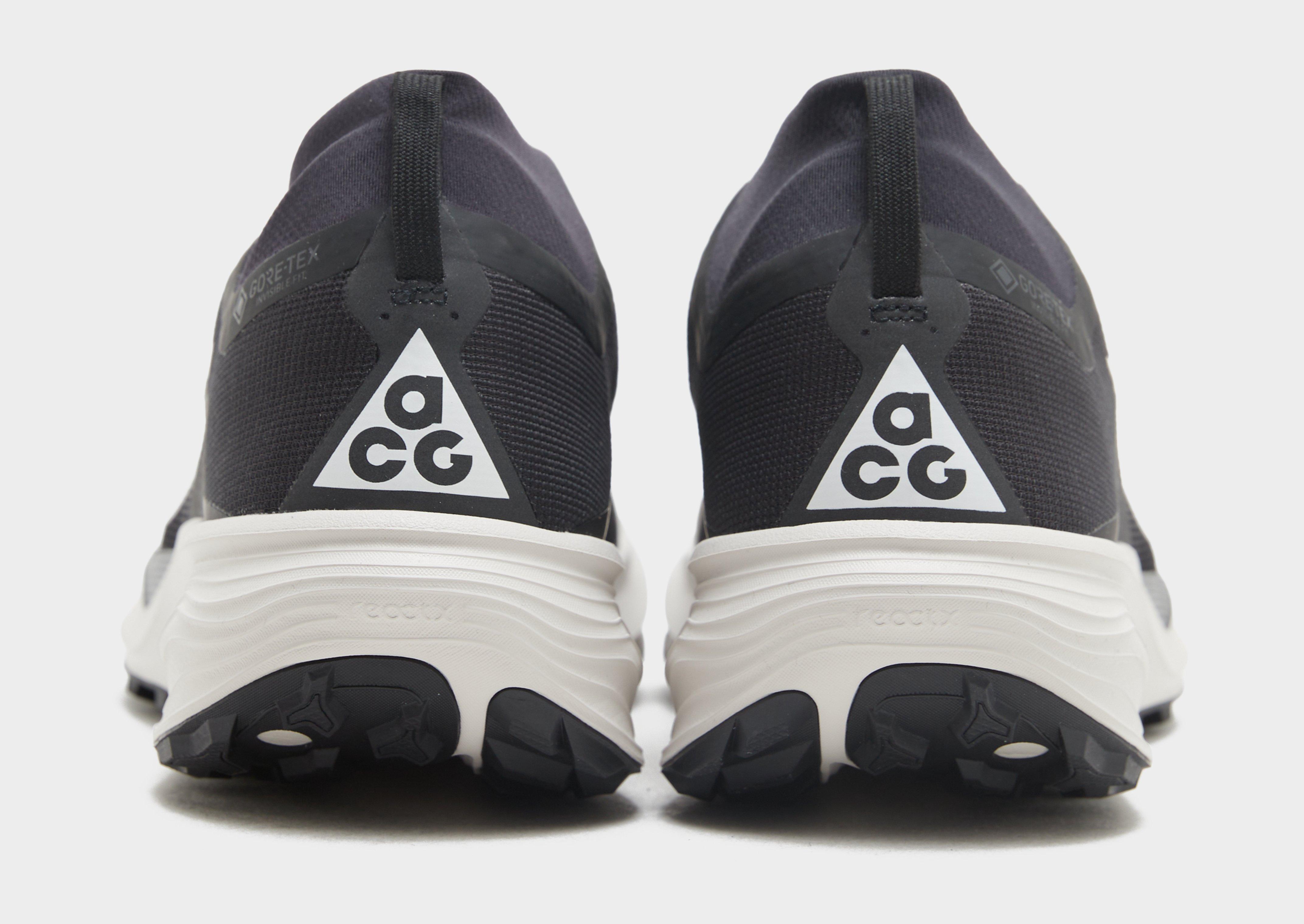 Nike Pegasus Trail 4 GORE-TEX Herr