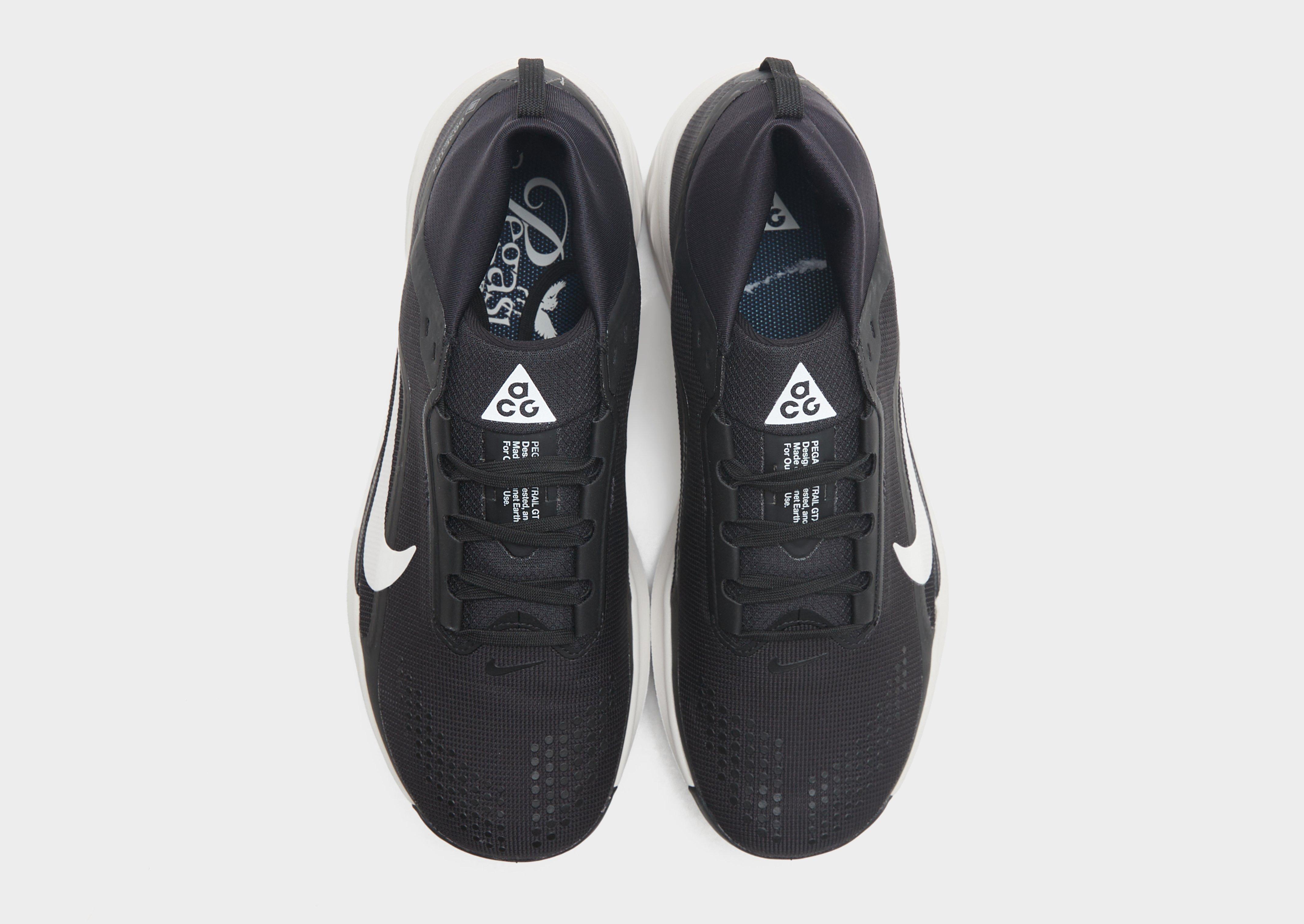 Nike Pegasus Trail 4 GORE-TEX Herr