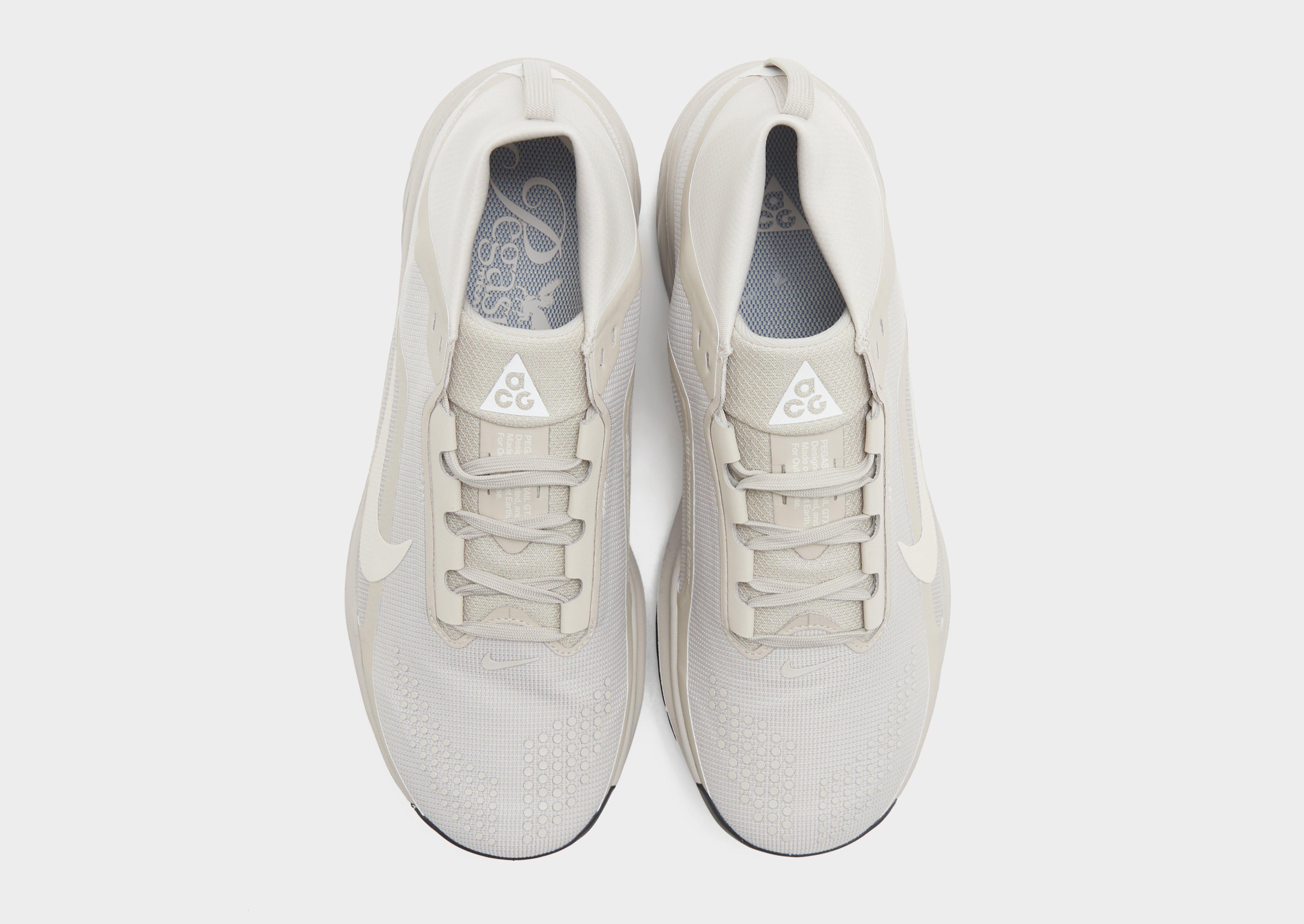 Nike Pegasus Trail 4 GORE-TEX