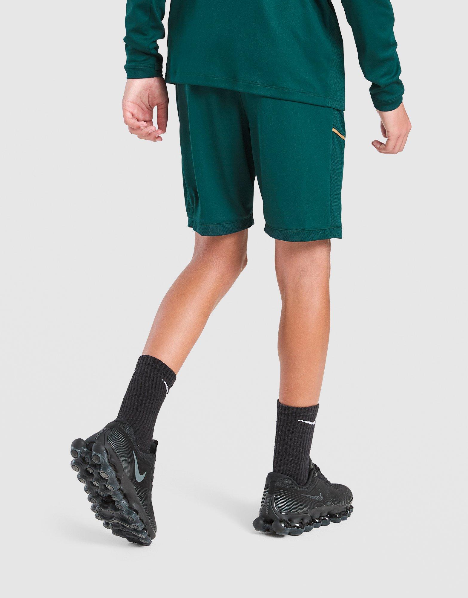 Nike Academy Shorts Junior