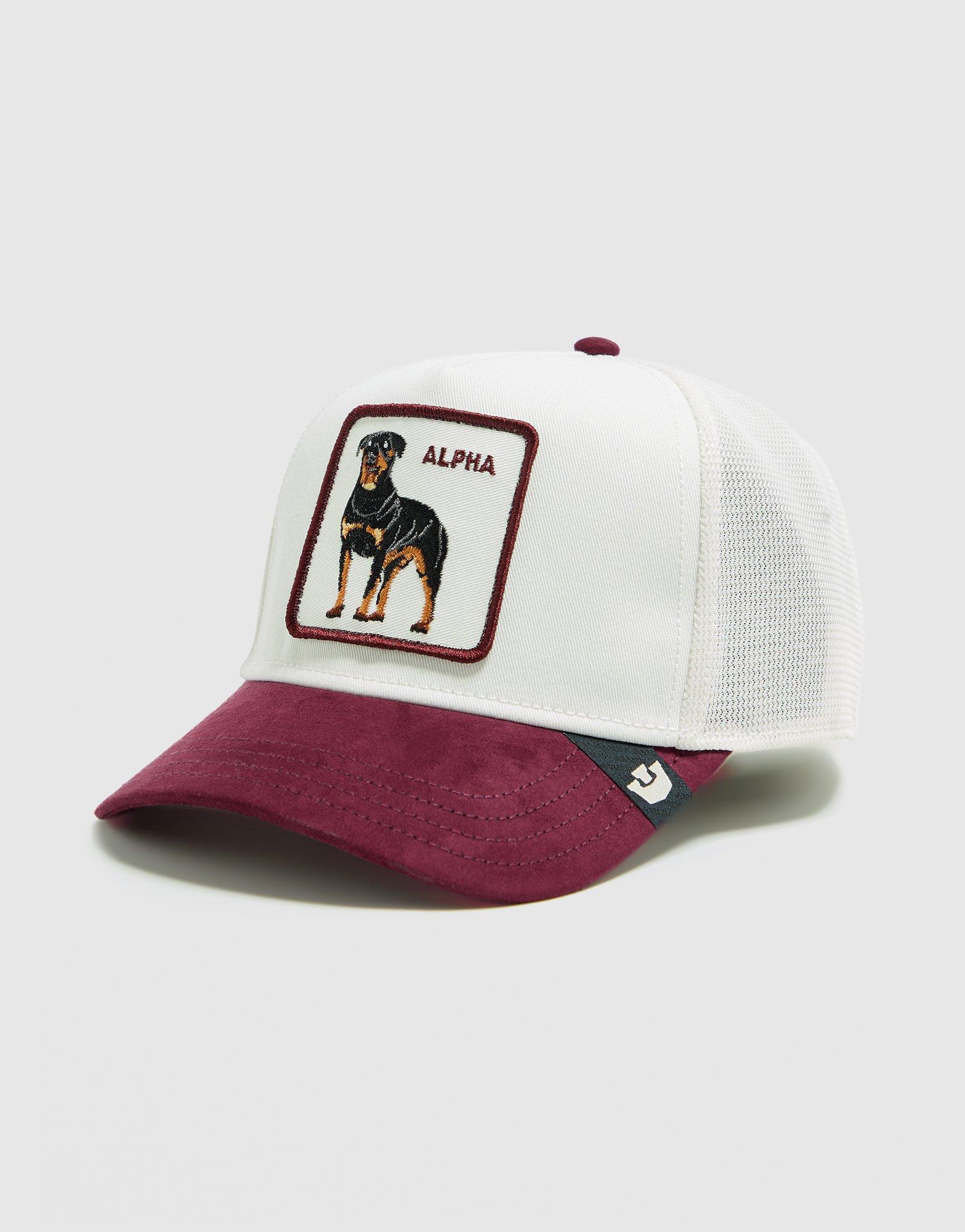 Goorin Bros Alpha Suede Cap