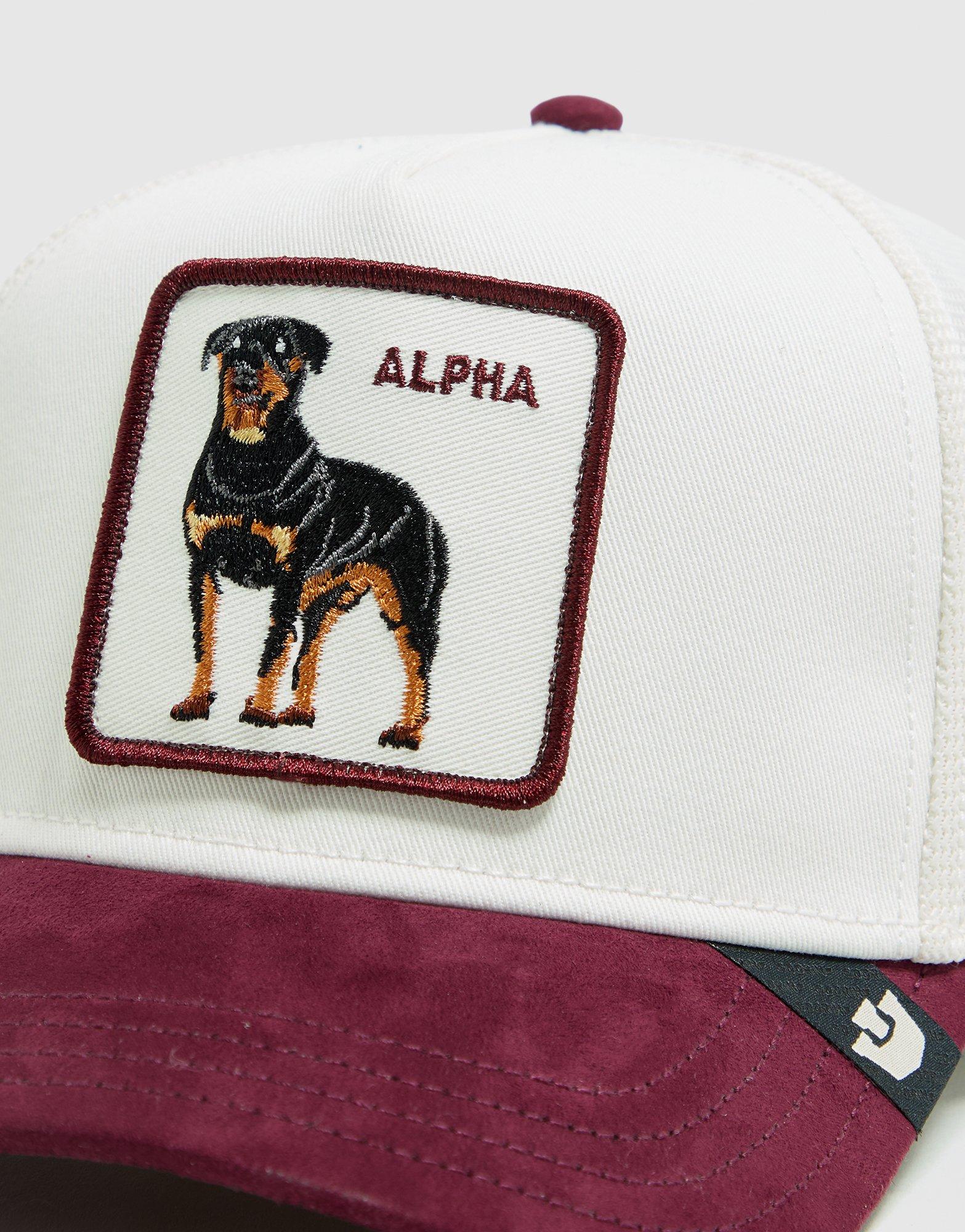 Goorin Bros Alpha Suede Cap
