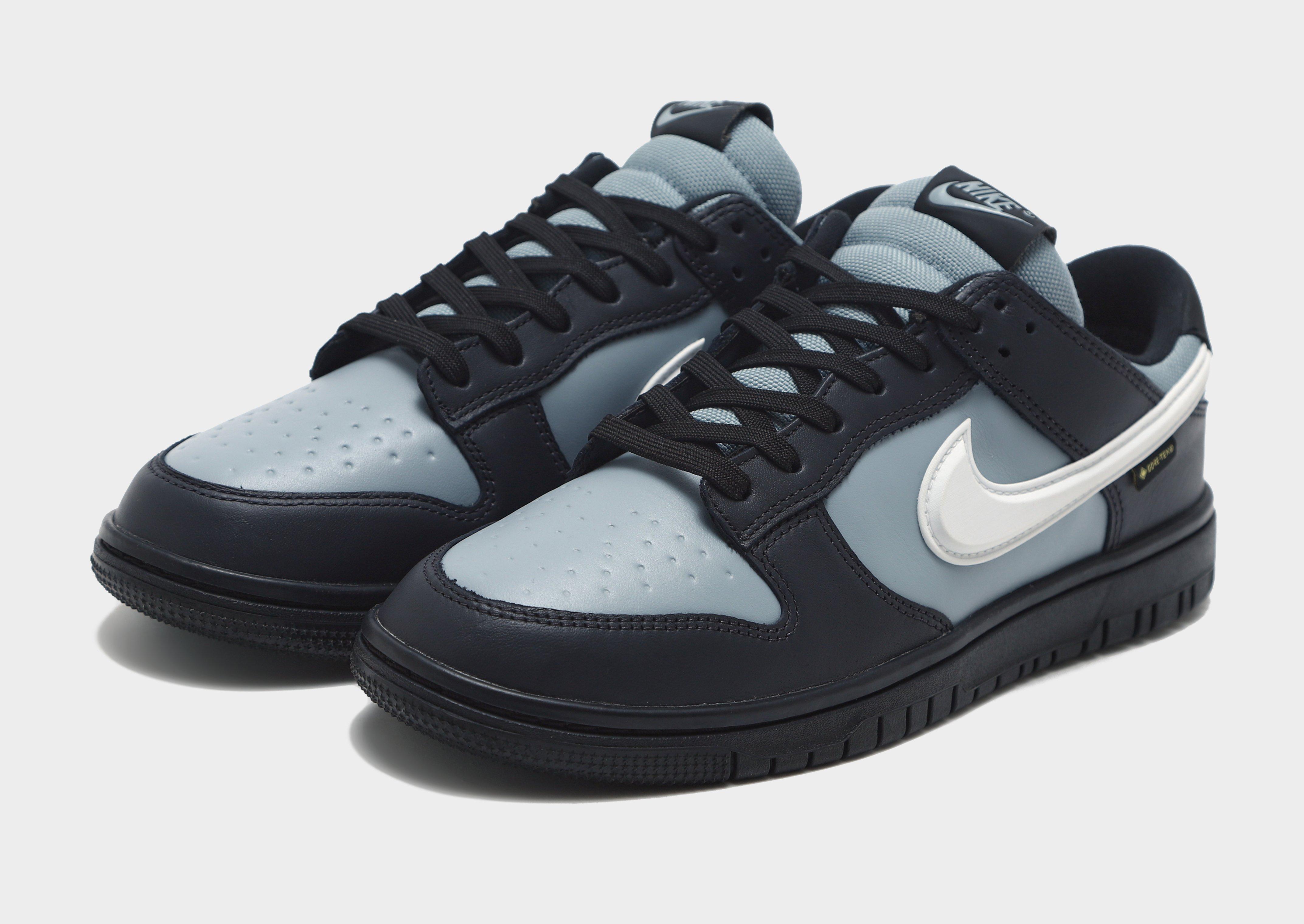 Nike Dunk Low GORE-TEX