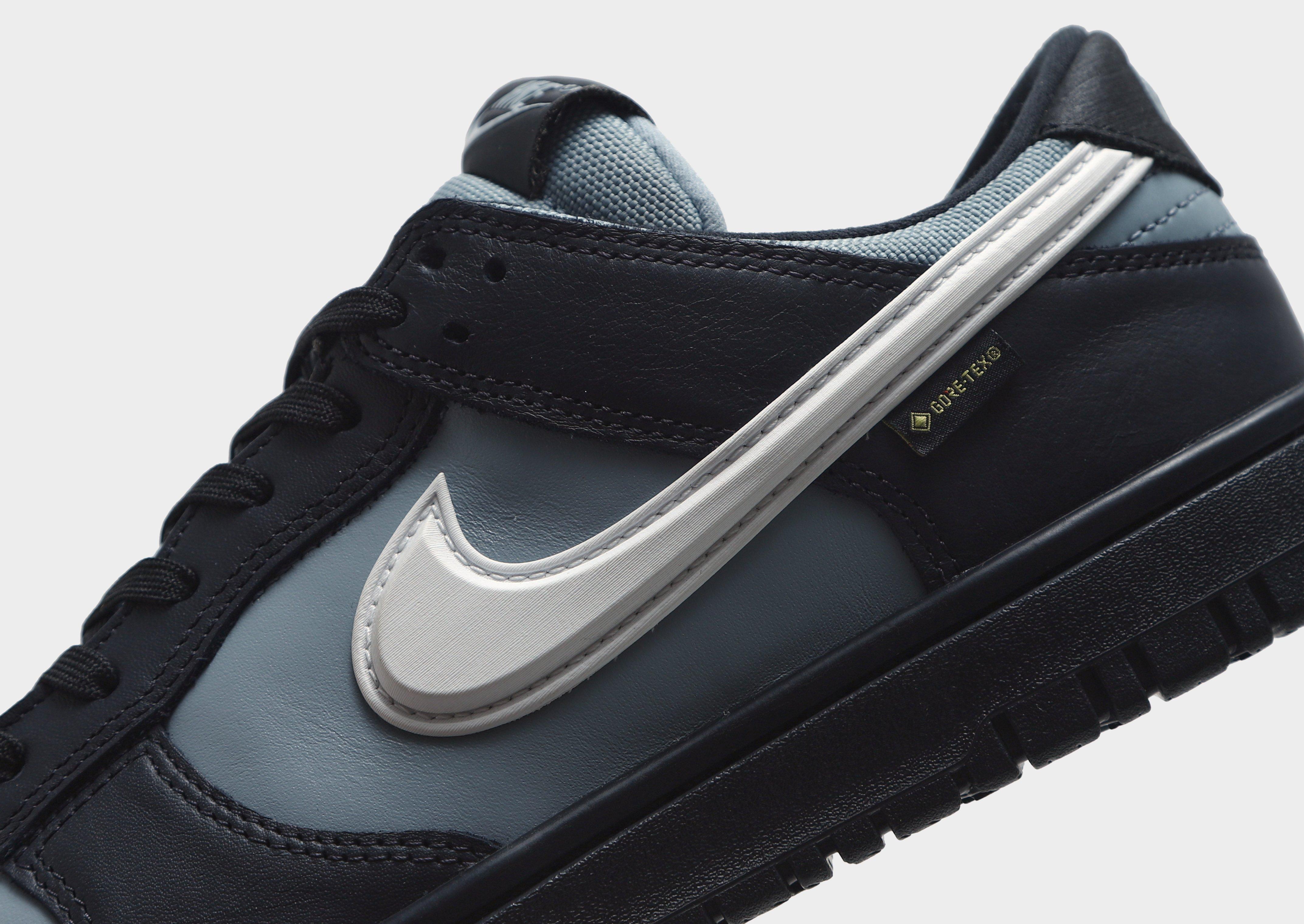 Nike Dunk Low GORE-TEX
