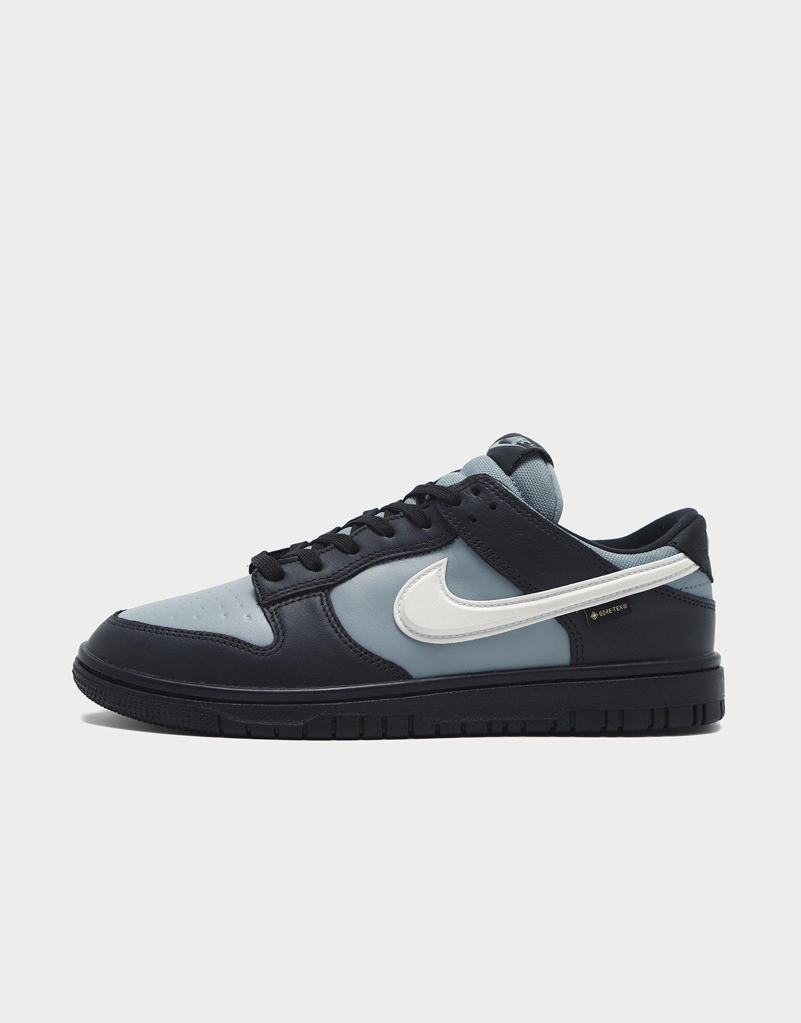 Nike Dunk Low GORE-TEX