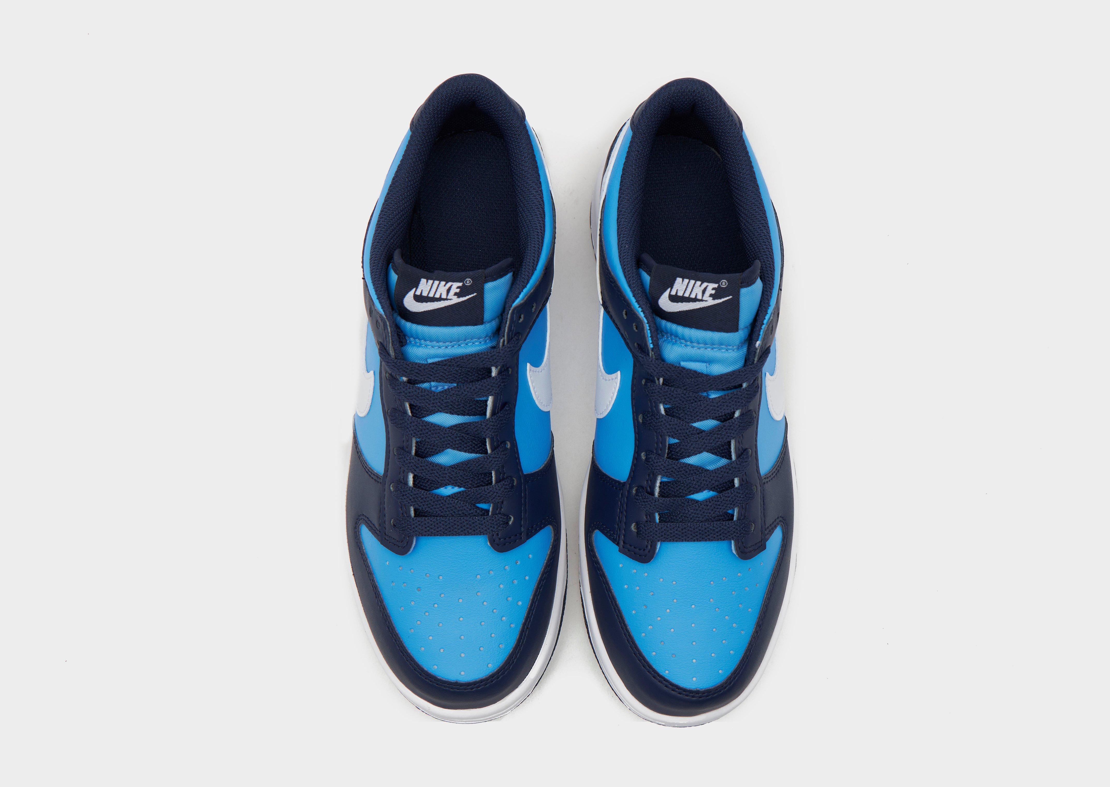 Nike Dunk Low Junior's