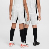 Nike Academy Pro Dri-FIT Shorts Junior's