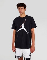 Jordan Flight MVP Baseball T-Shirt