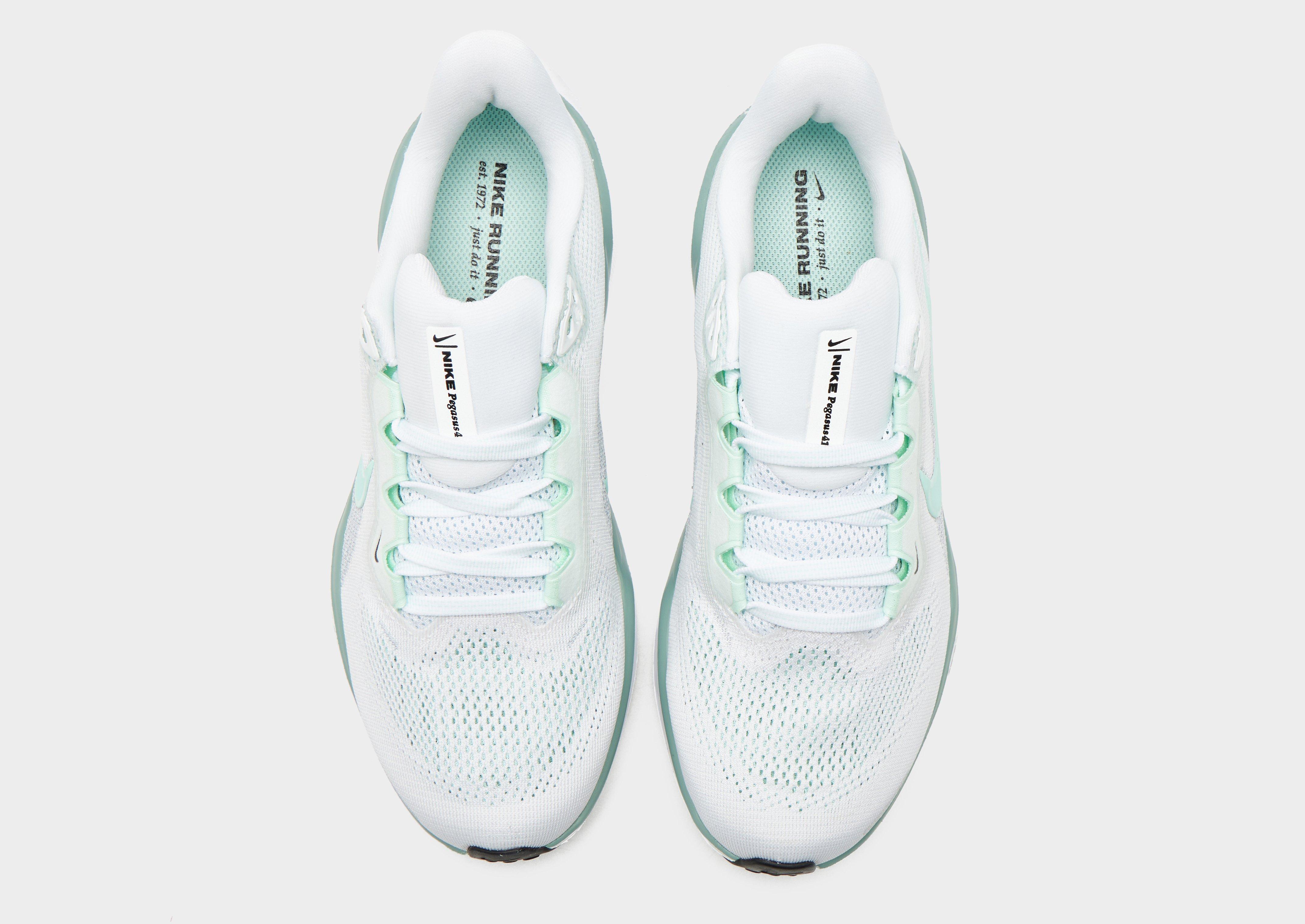 Nike Pegasus 41 Women's