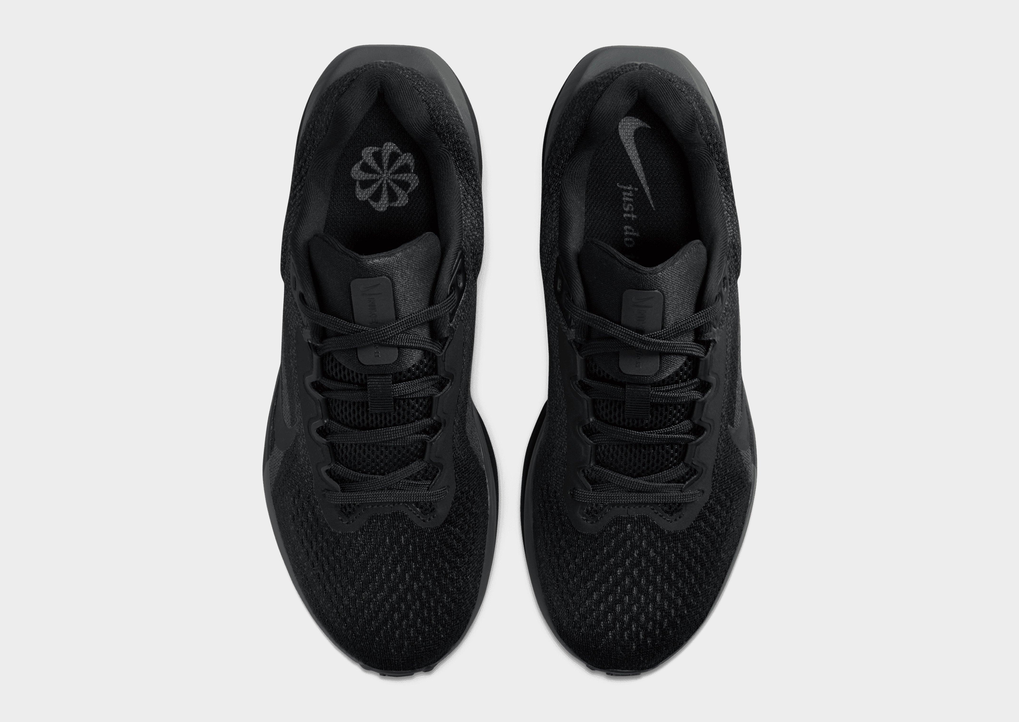 Nike Winflo 11 Women's