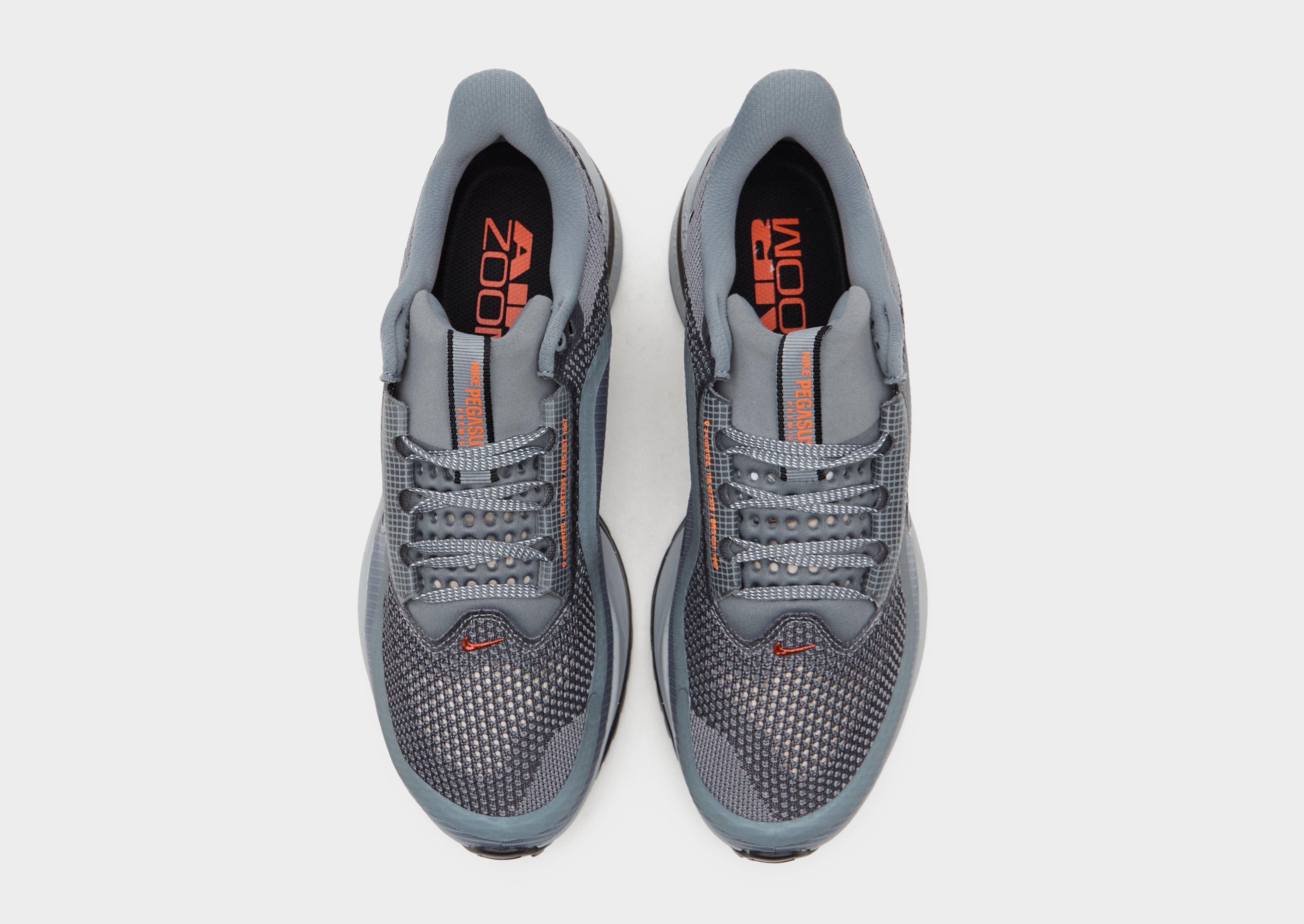 Nike Pegasus Premium