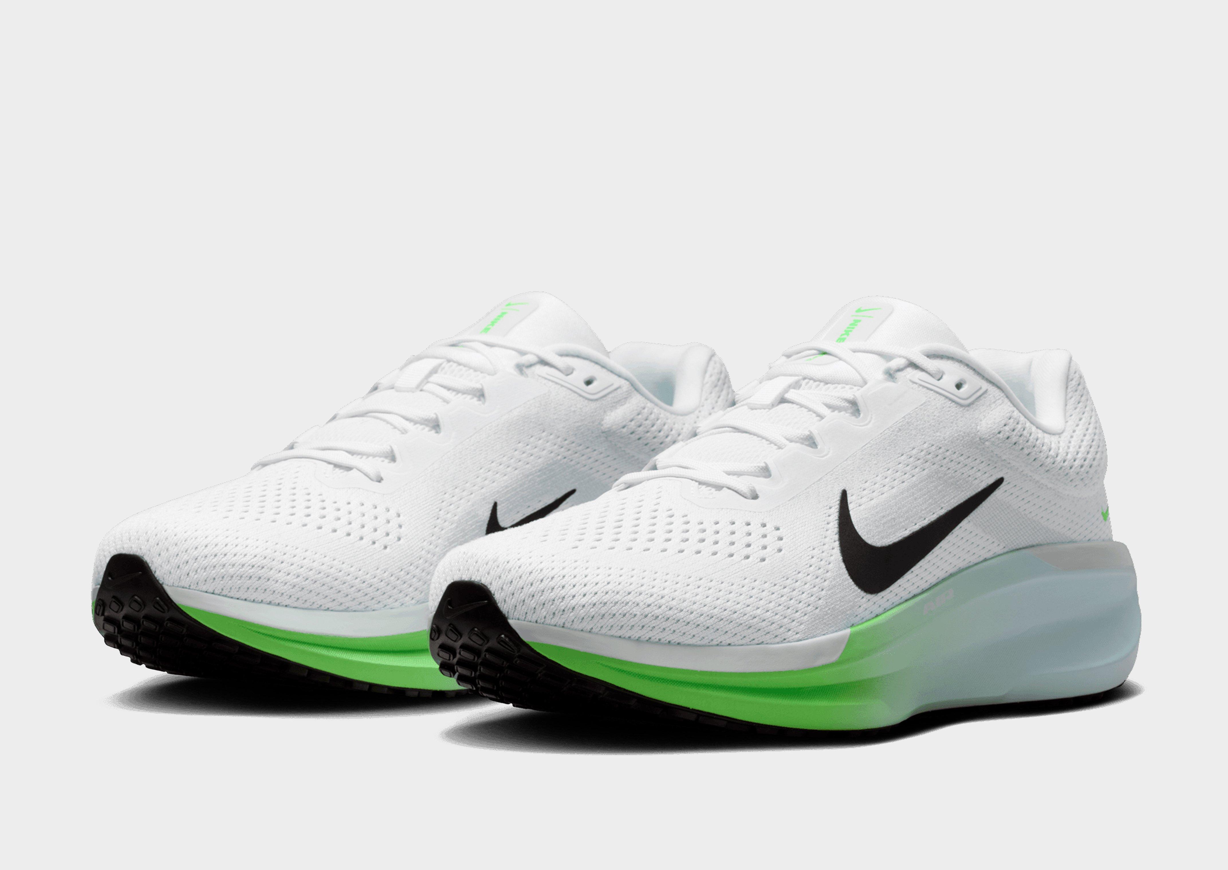 Nike Winflo 11