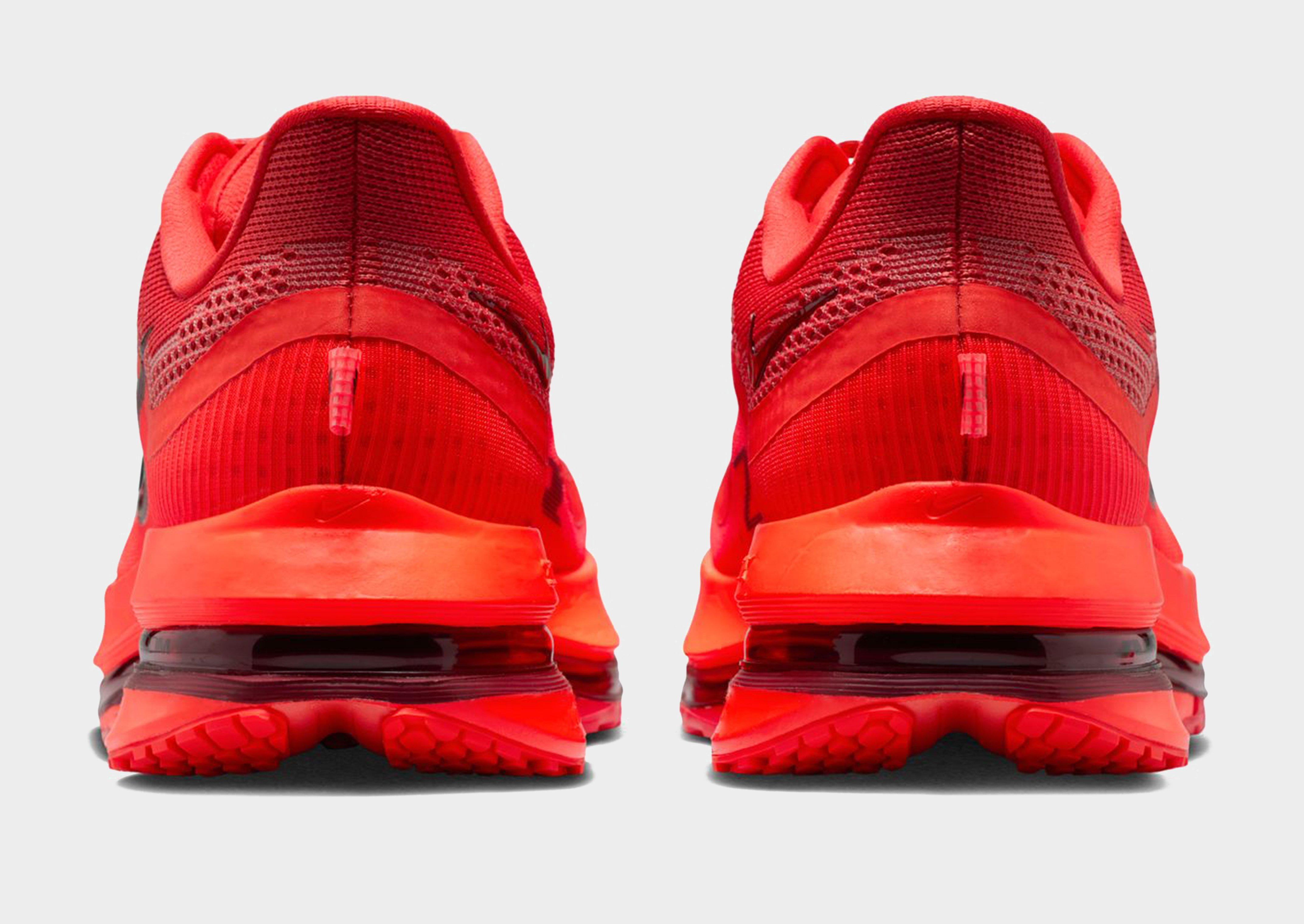 Nike Pegasus Premium