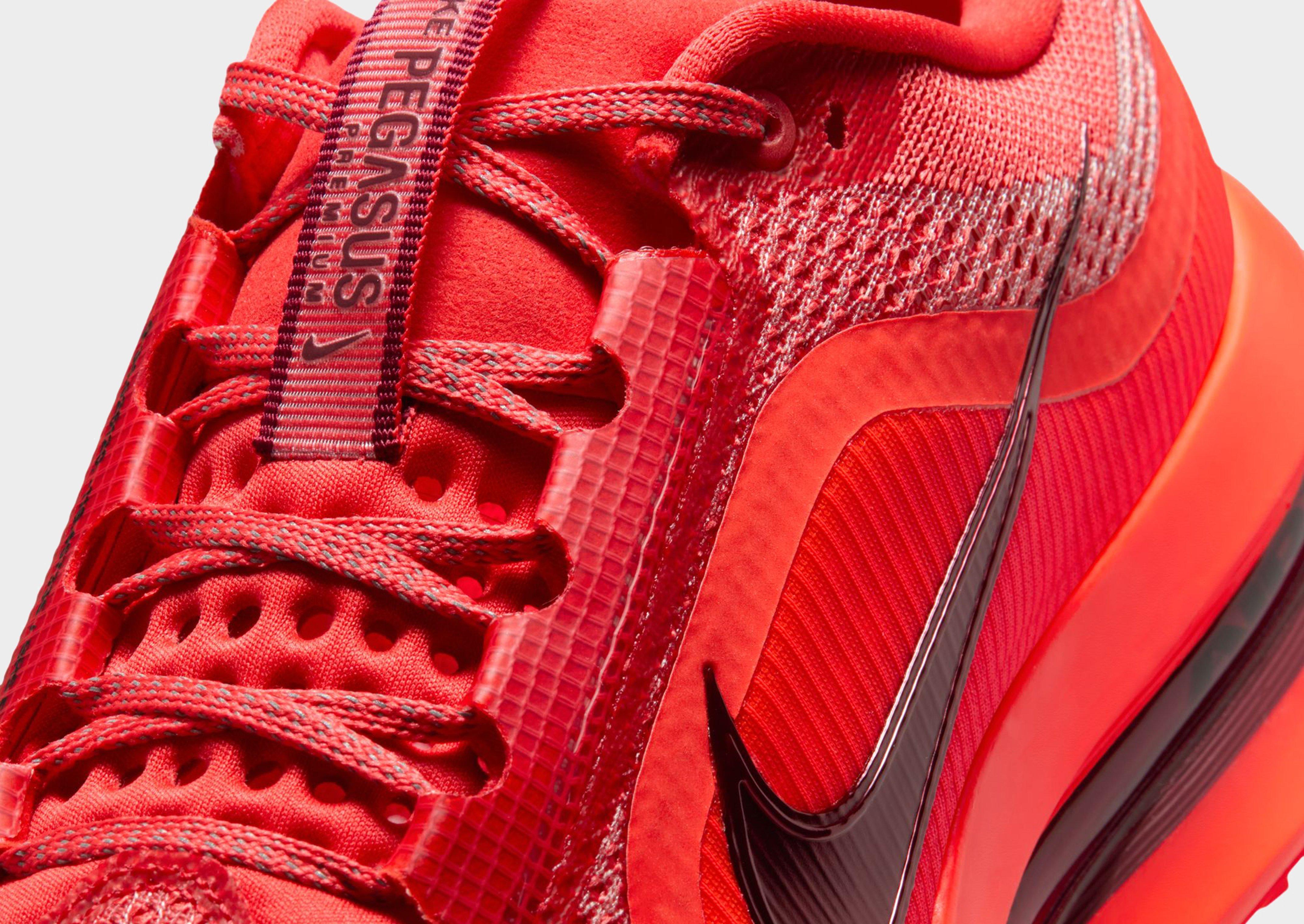 Nike Pegasus Premium