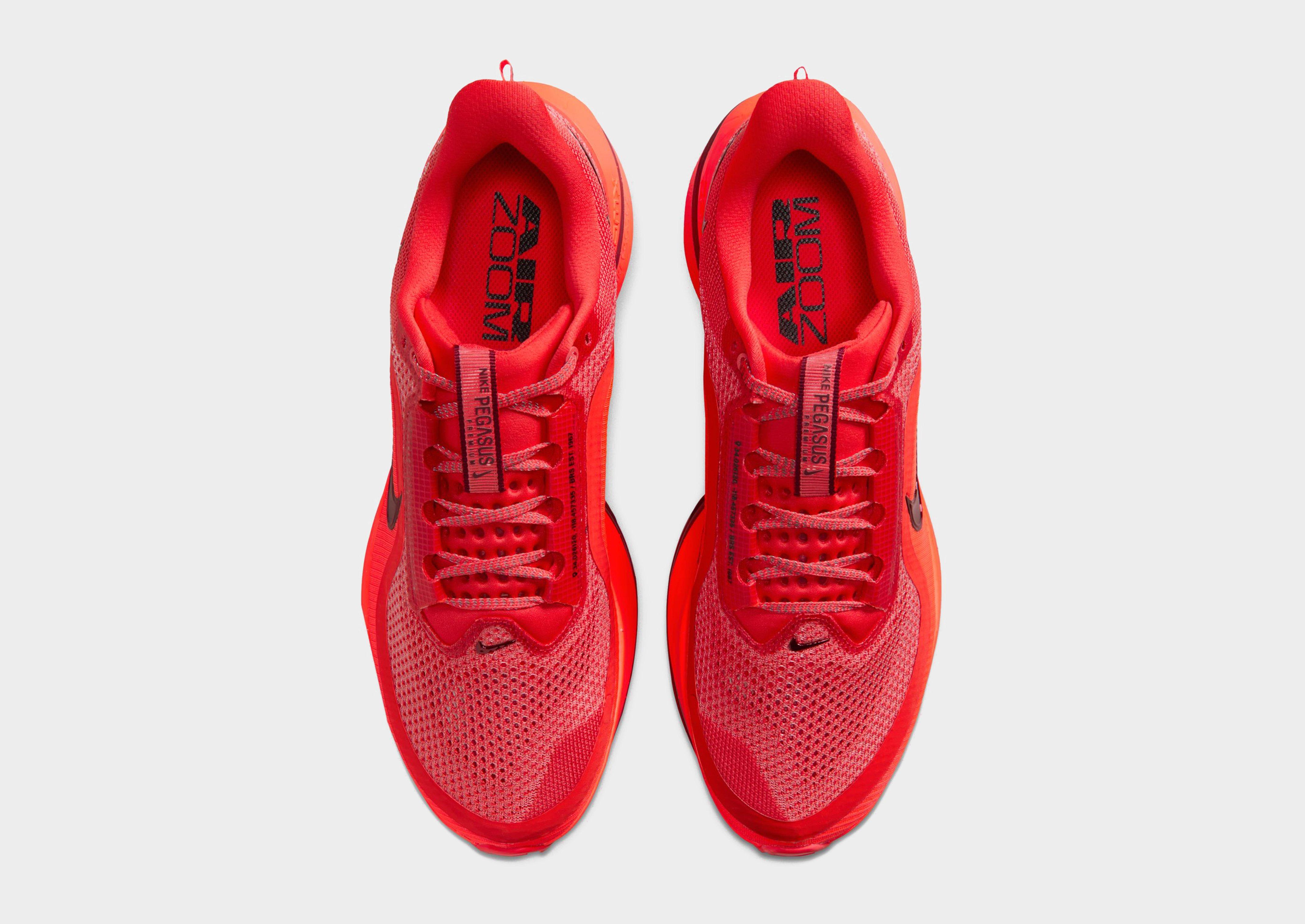 Nike Pegasus Premium