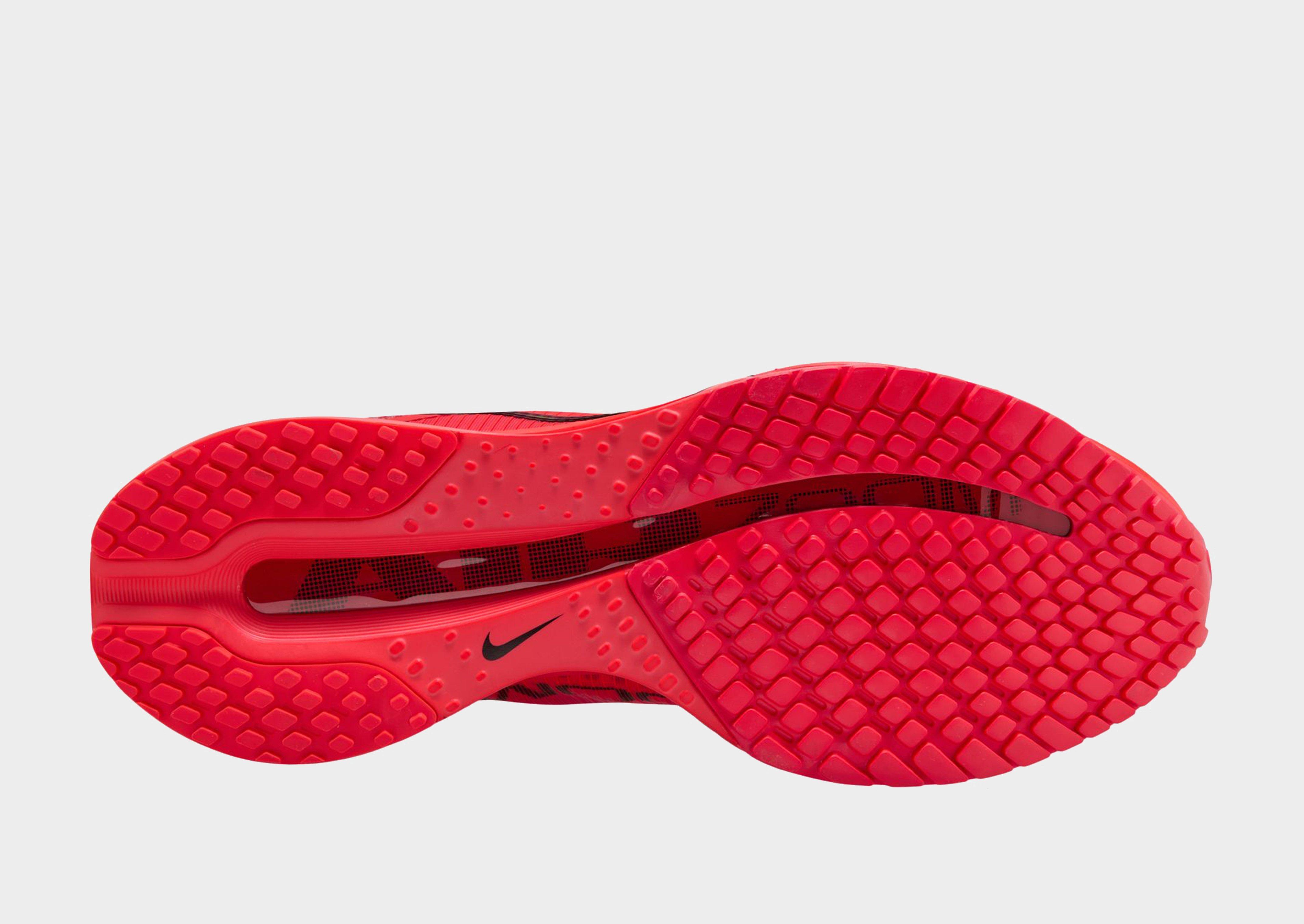 Nike Pegasus Premium