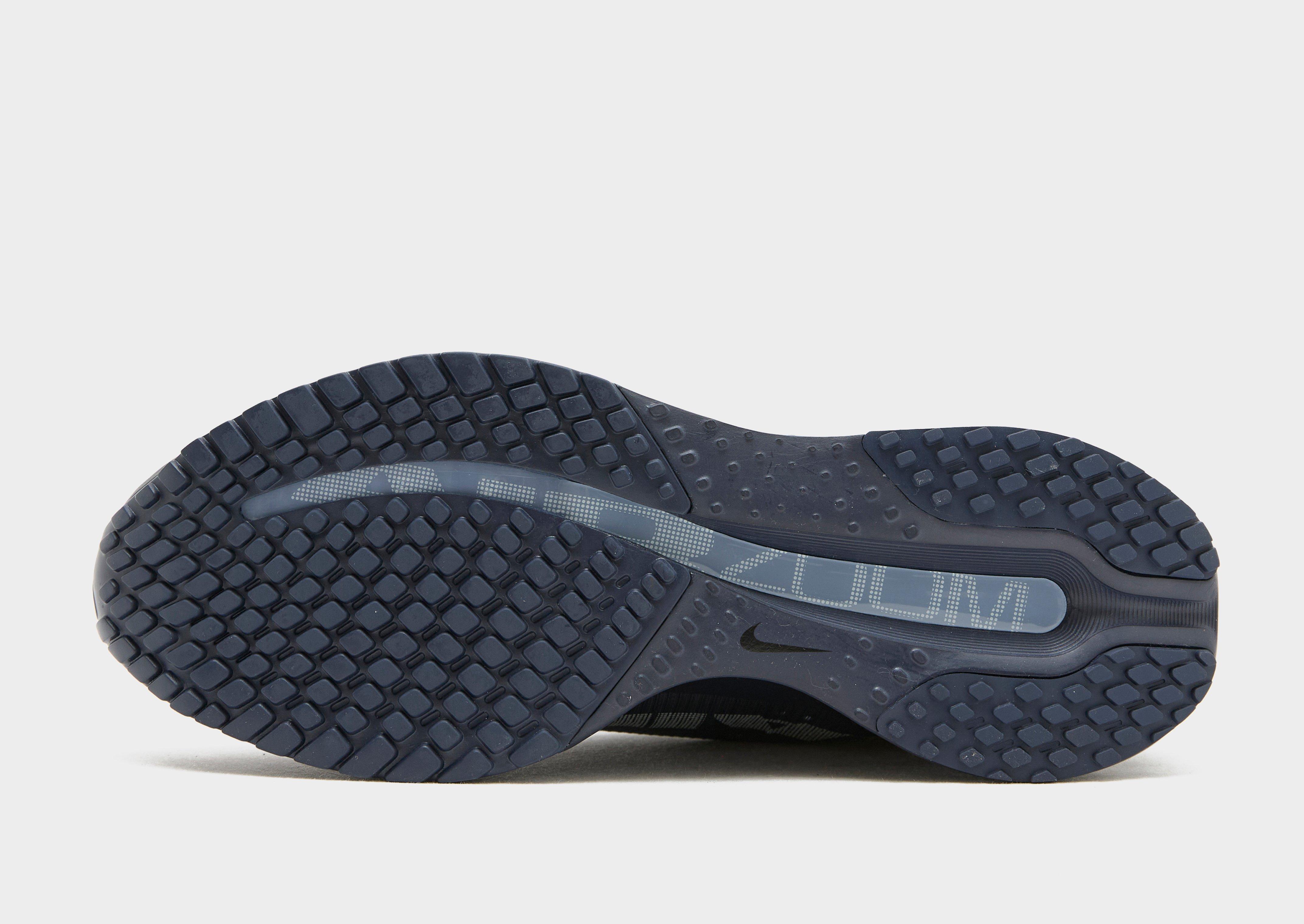 Nike Pegasus Premium