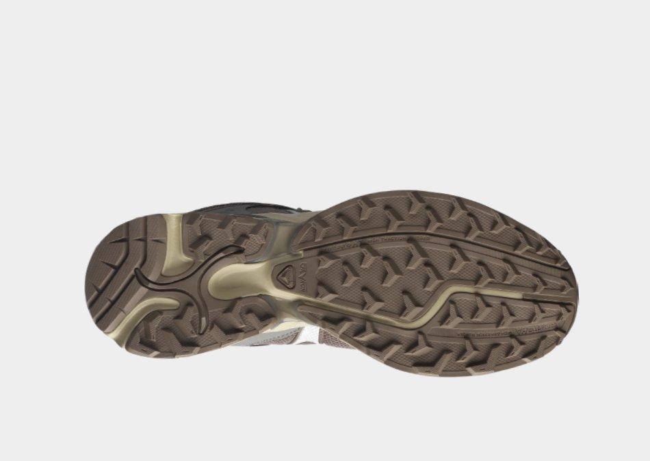 Salomon XT-Whisper