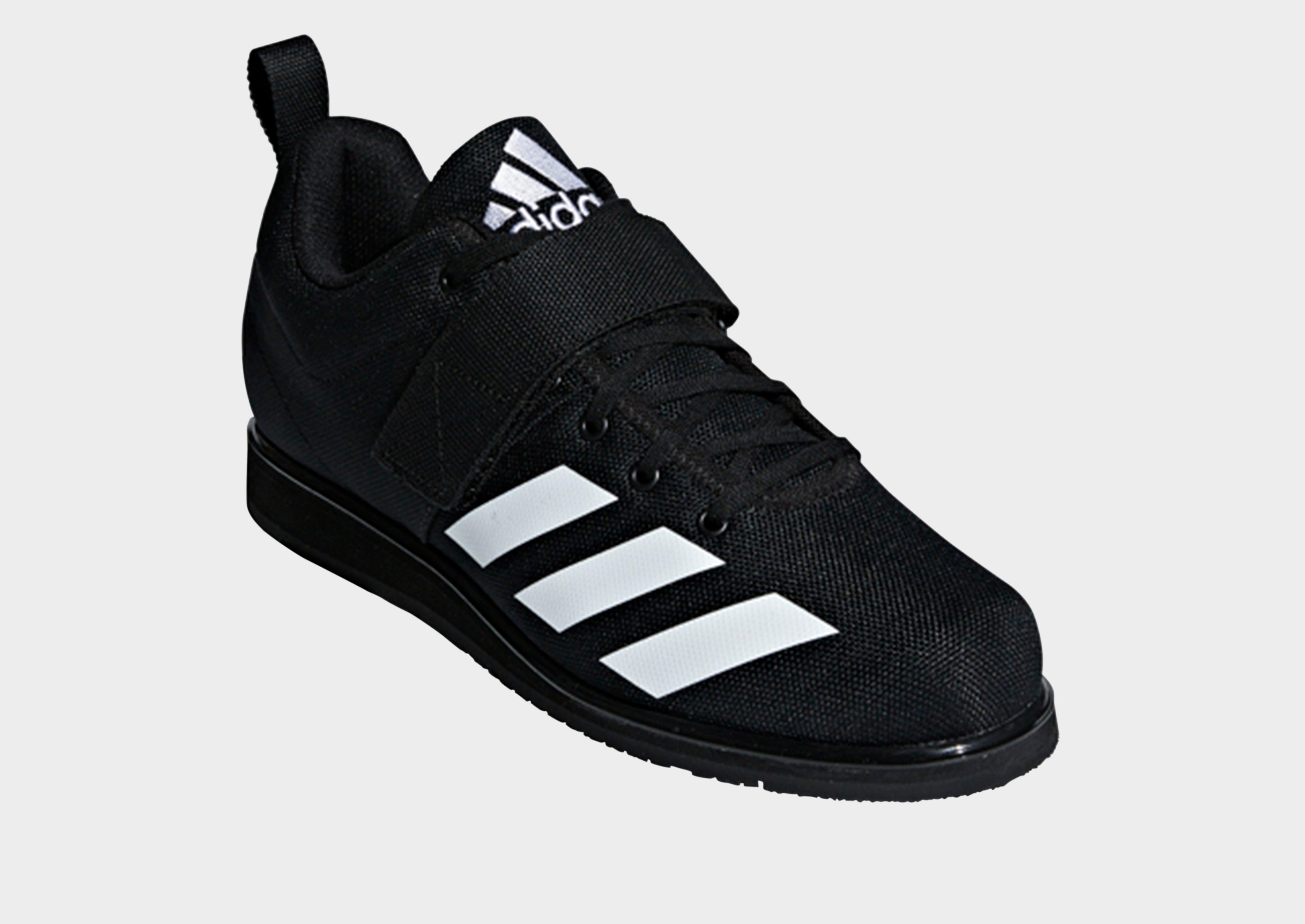 sports direct squat shoes