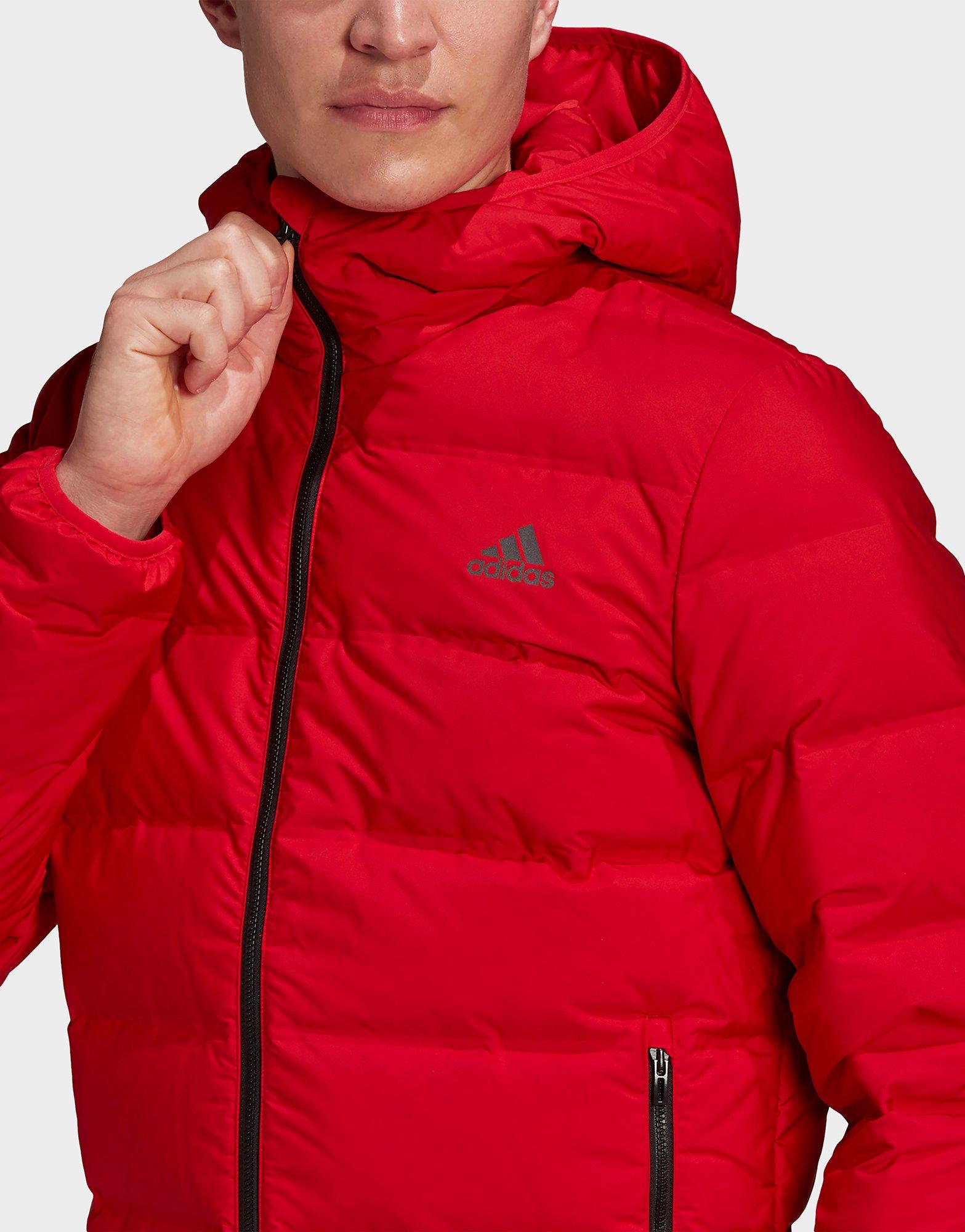 helionic hooded down jacket