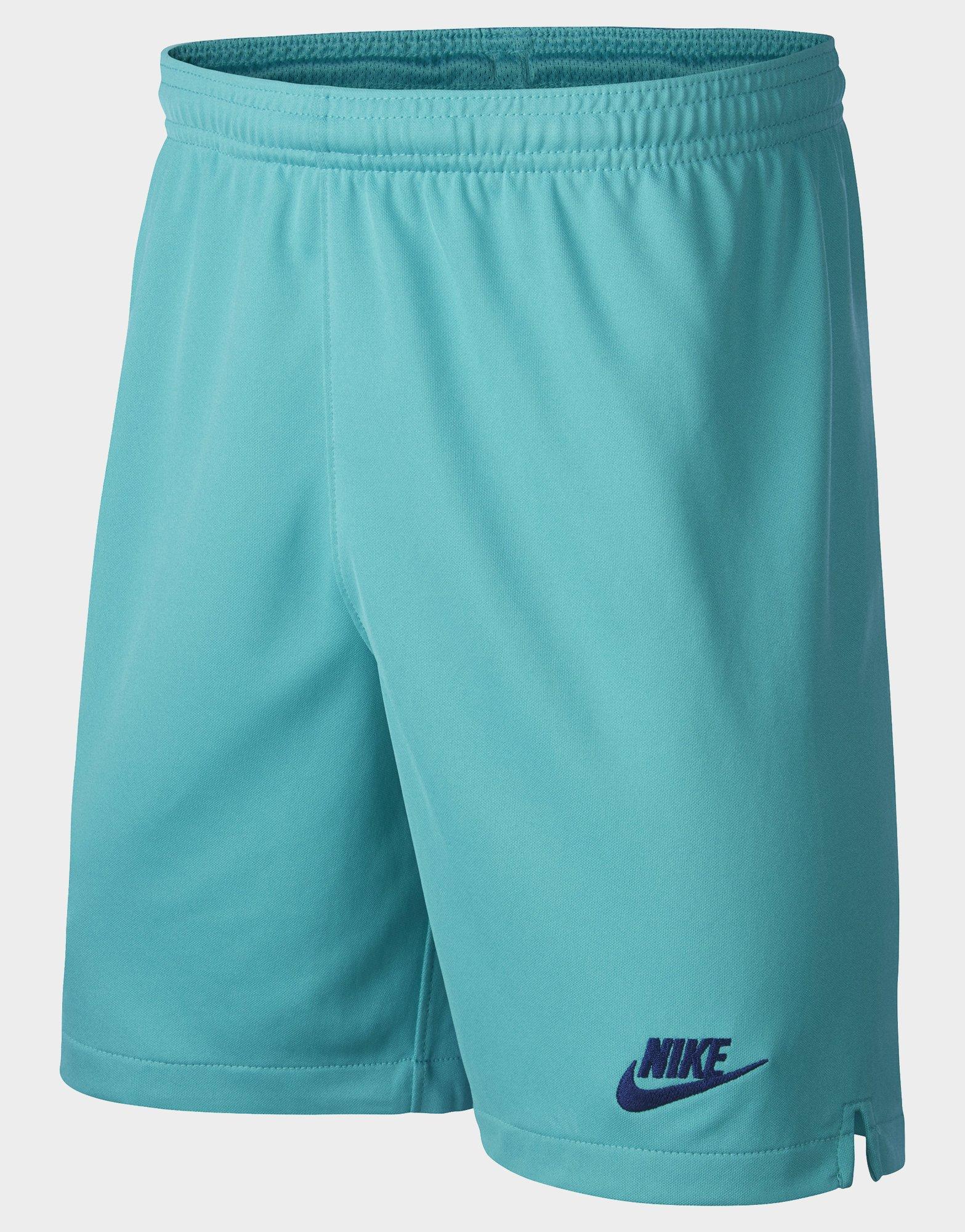 nike 2019 shorts