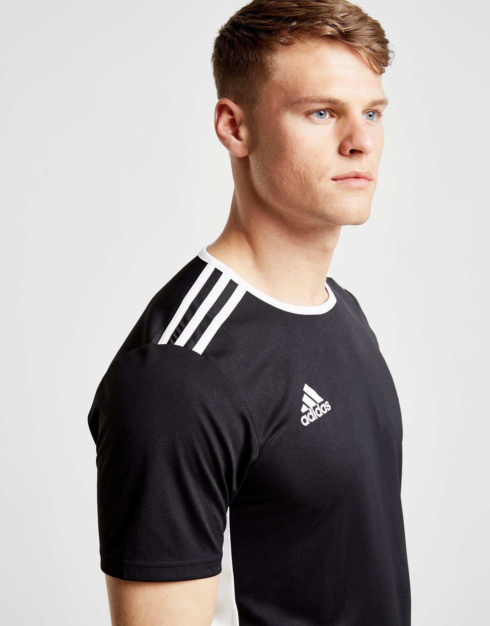 adidas entrada t shirt