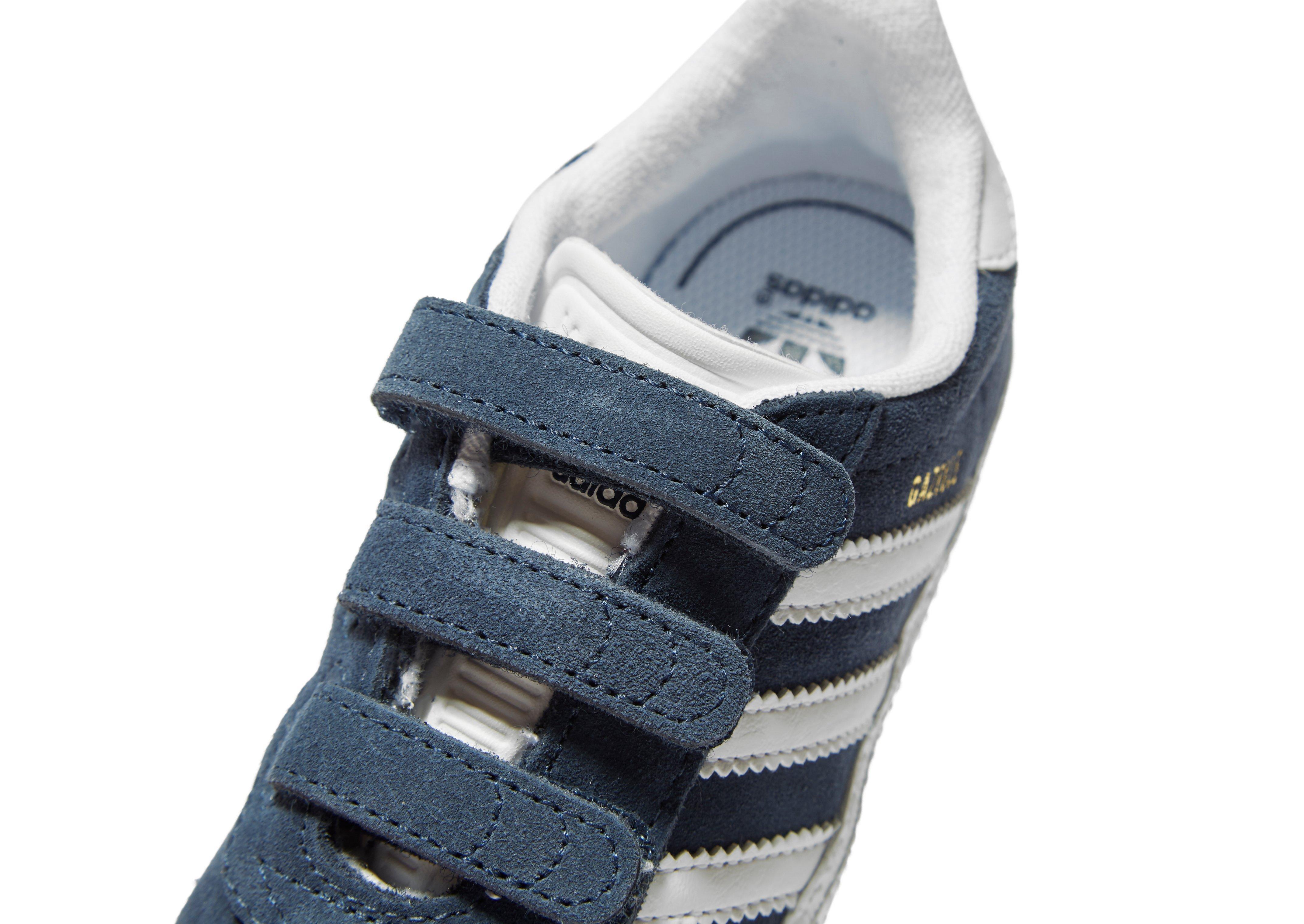 infant gazelles blue