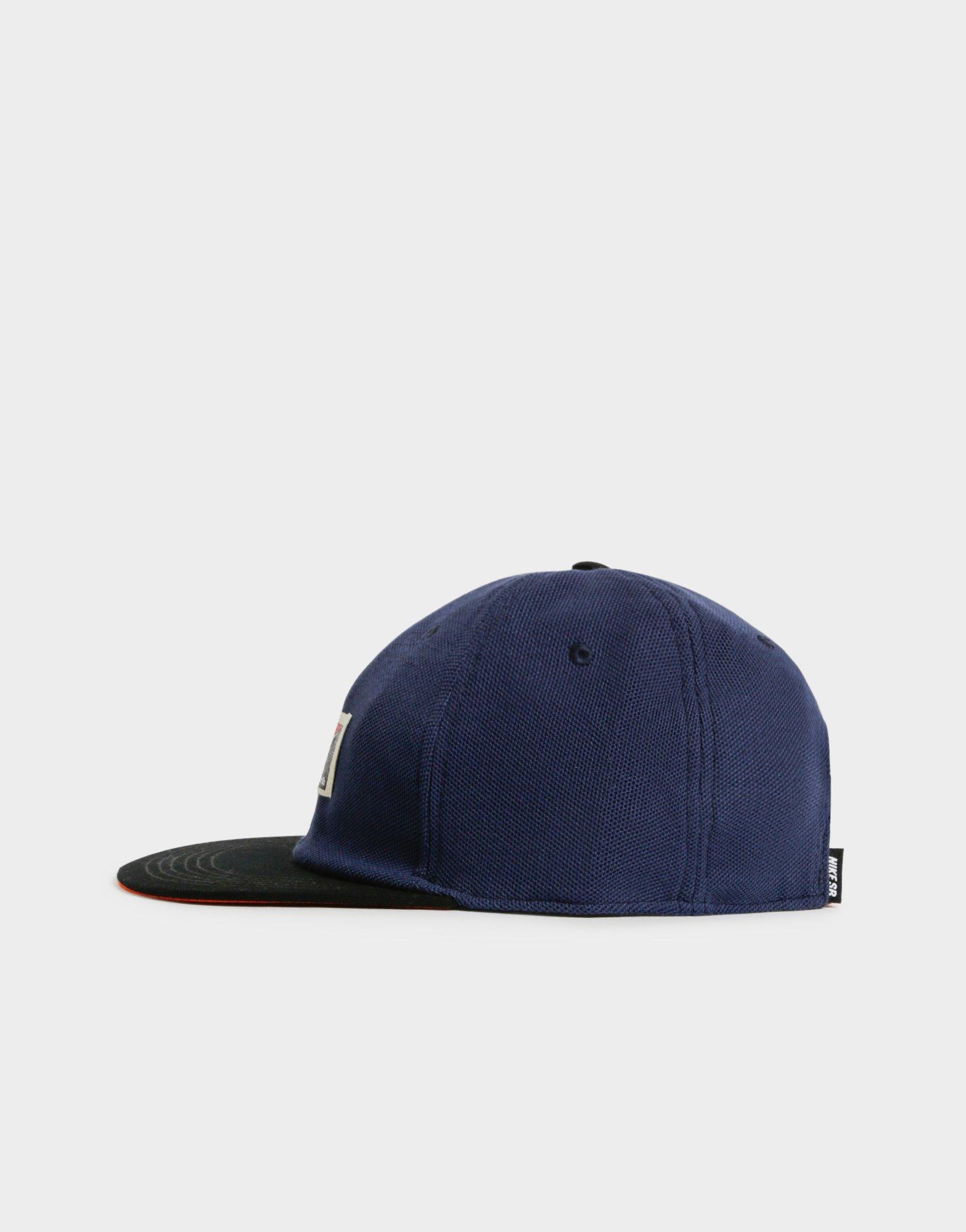 nike sb flat cap