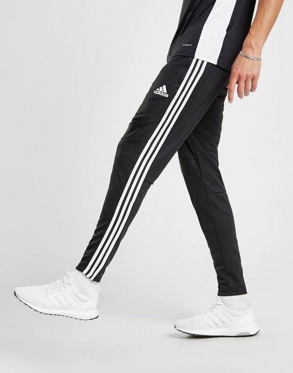 31+ Adidas Pants With Air Force 1 Men Photos