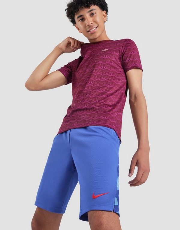 Nike Dri-Fit Shorts Junior's