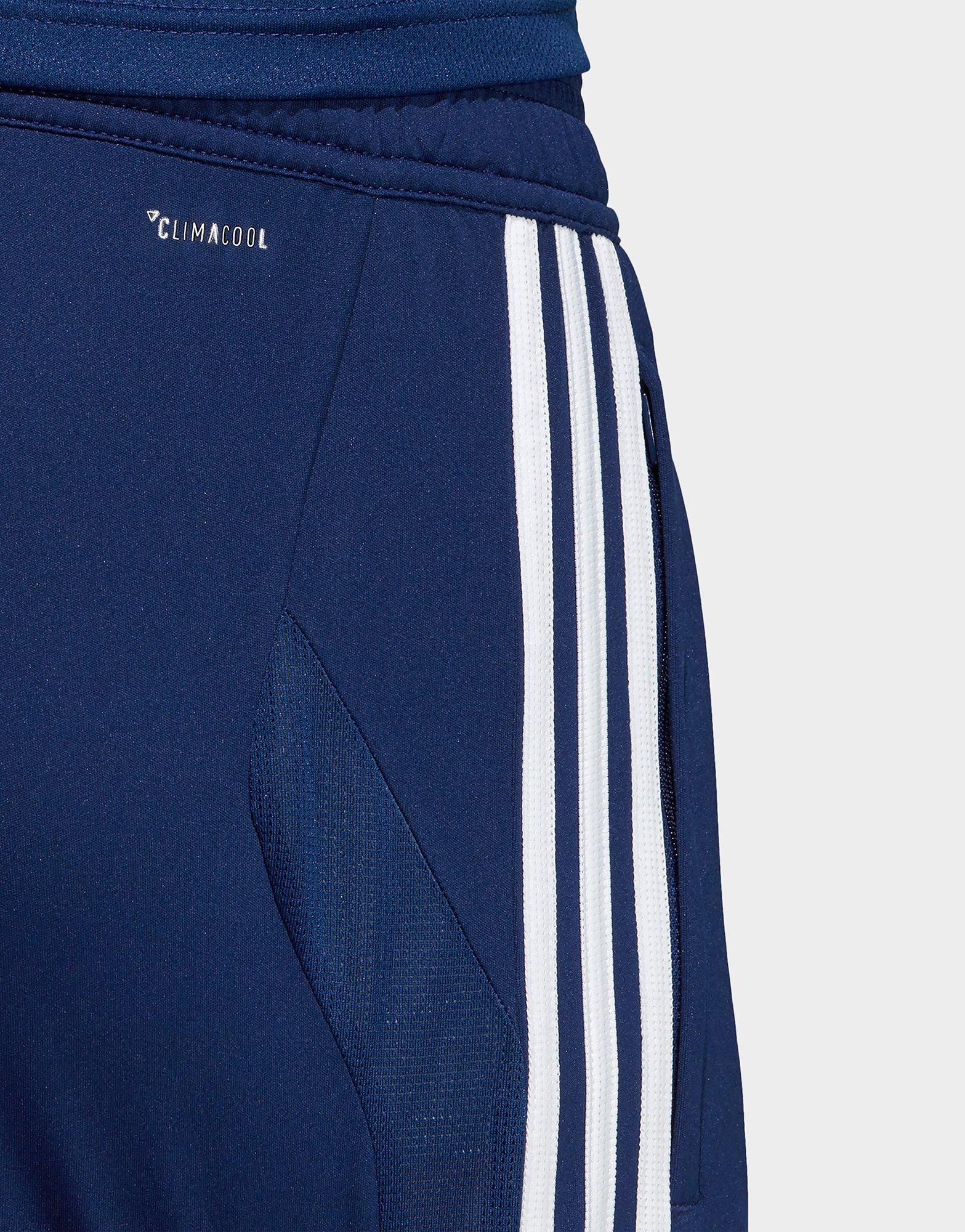 adidas tiro 19 training shorts