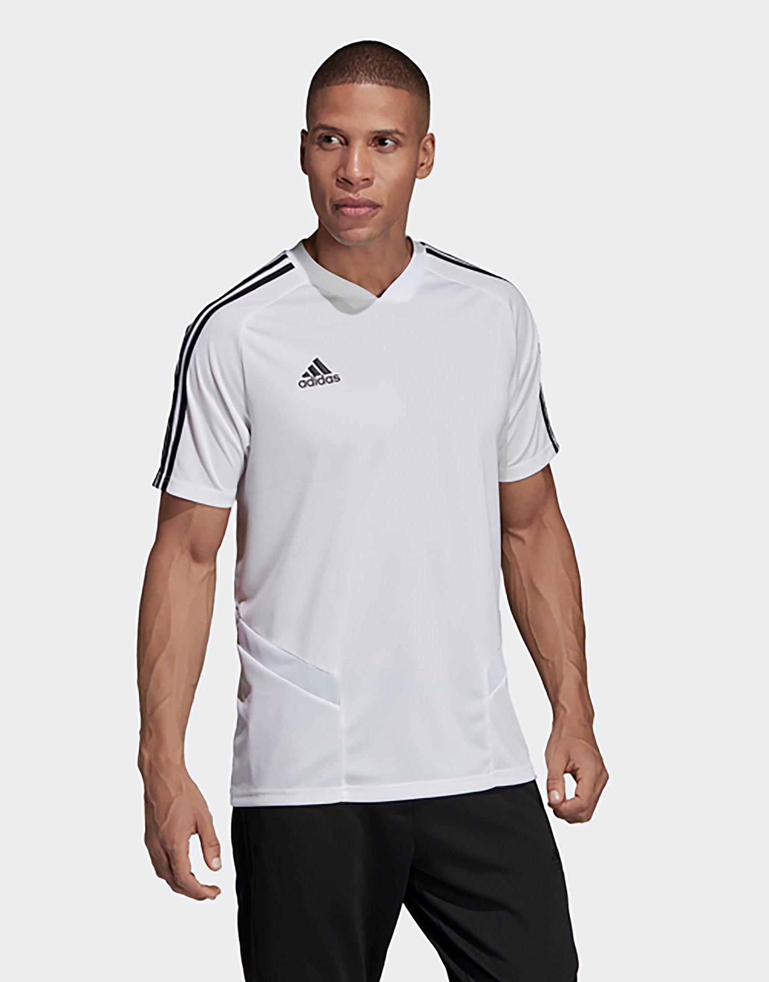 tiro 19 training jersey