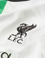 Nike Liverpool FC 2023/24 Away Jersey