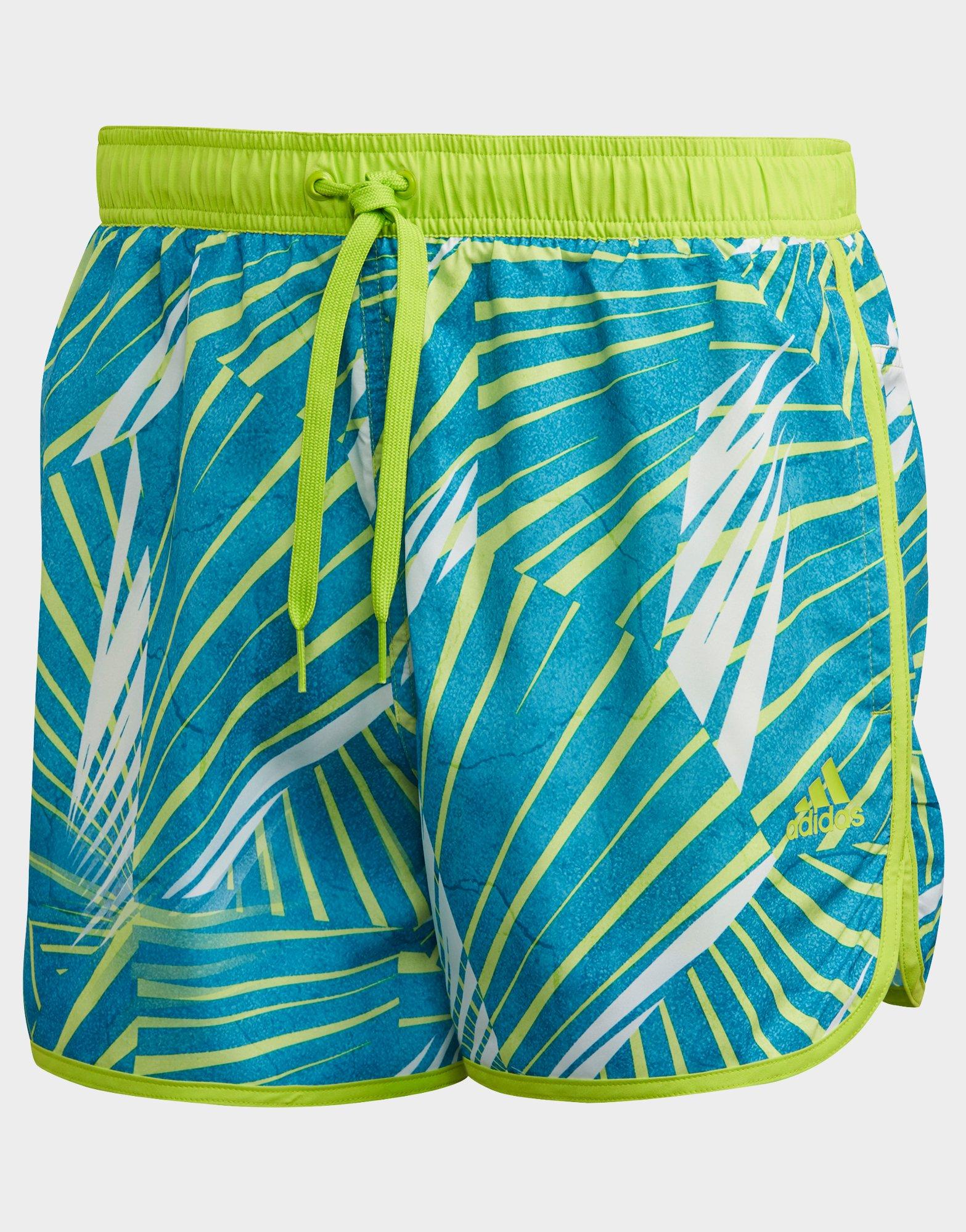 adidas palm swim shorts