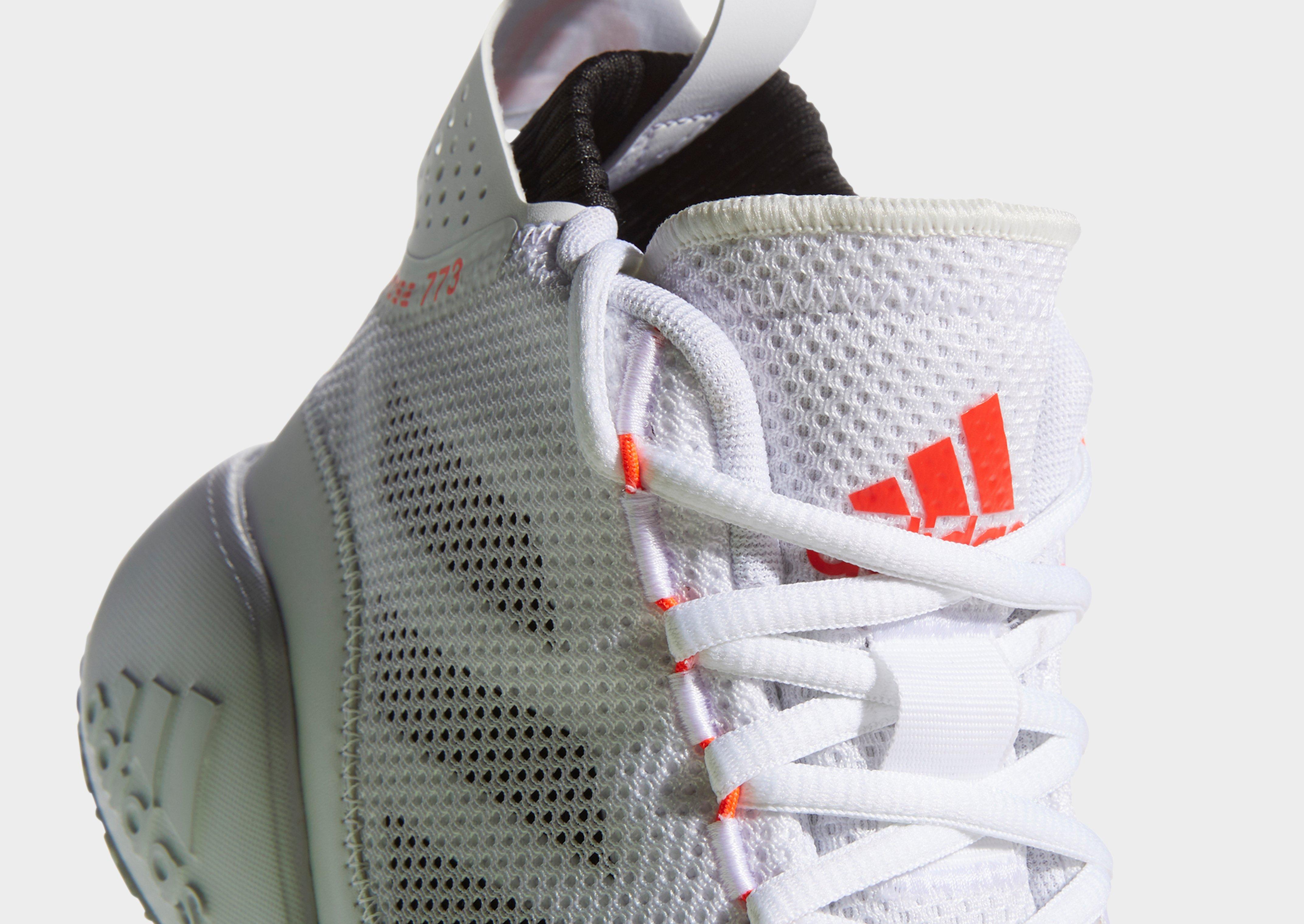derrick rose latest shoes