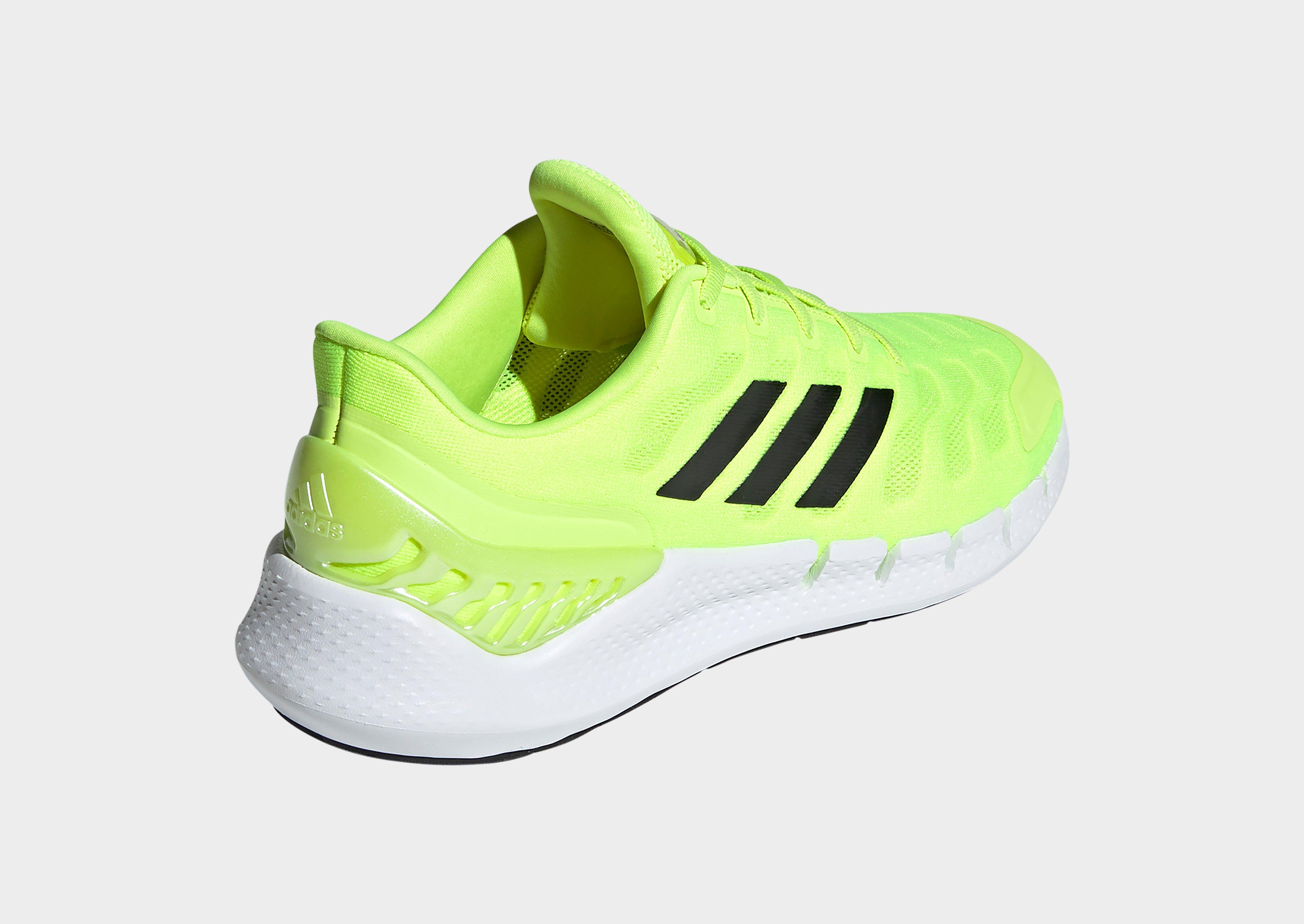 chaussure climacool