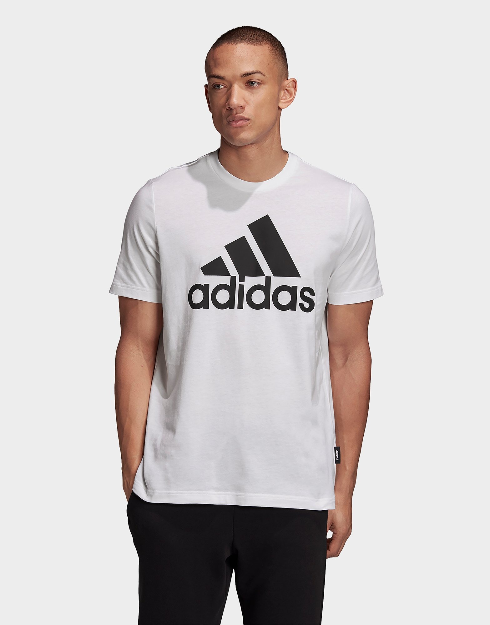 Buy White adidas Performance Must Haves Badge of Sport T-Shirt | JD Sports