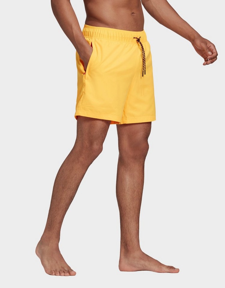 adiplore shorts