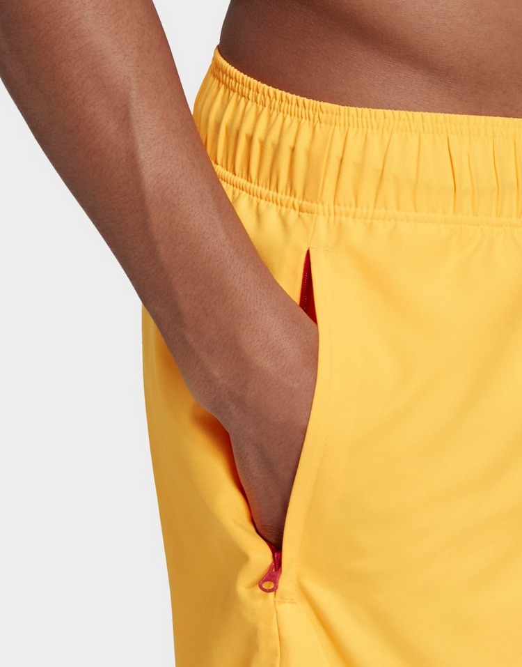 adiplore shorts