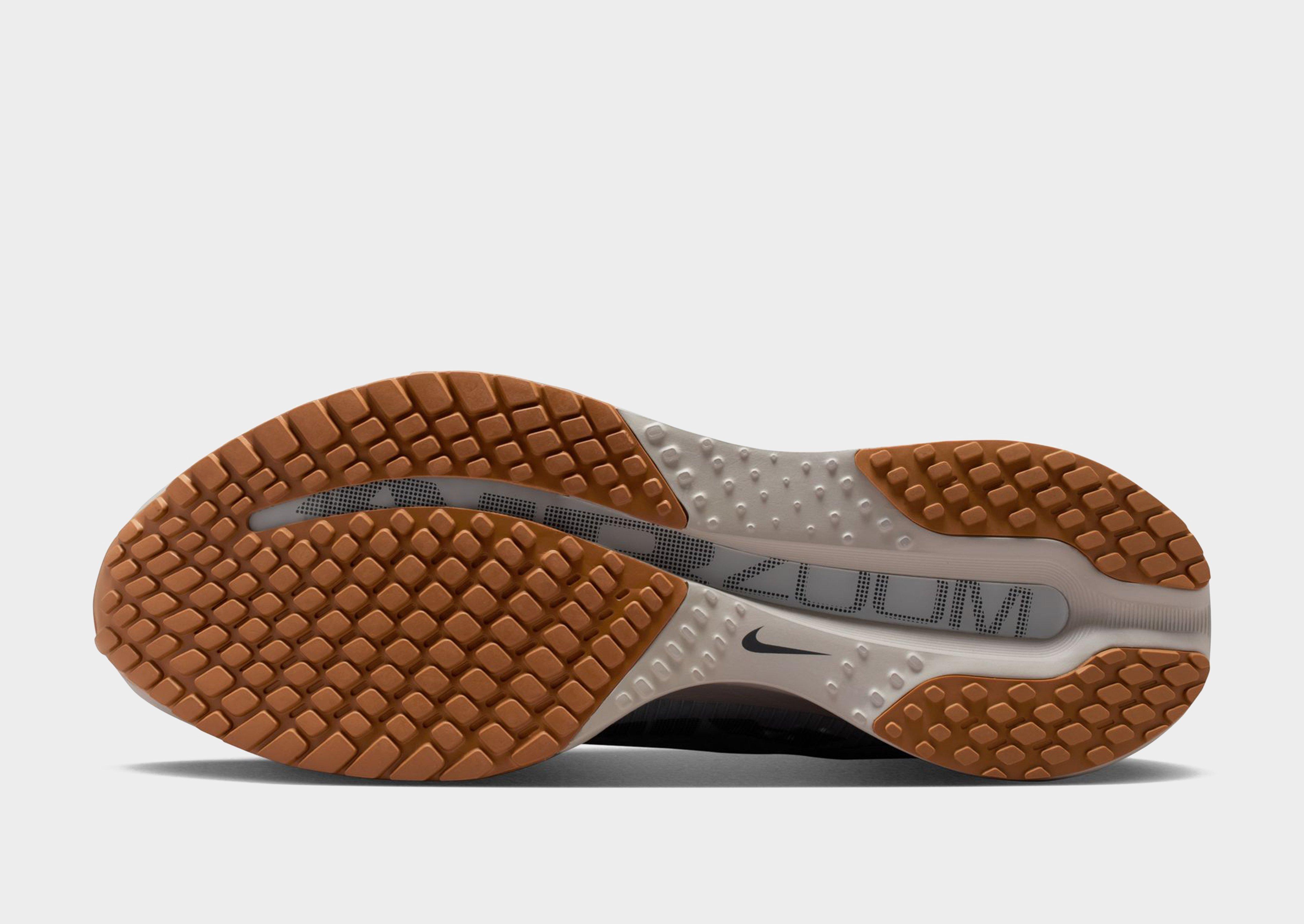 Nike Hardloopschoenen voor heren (straat) Pegasus Premium