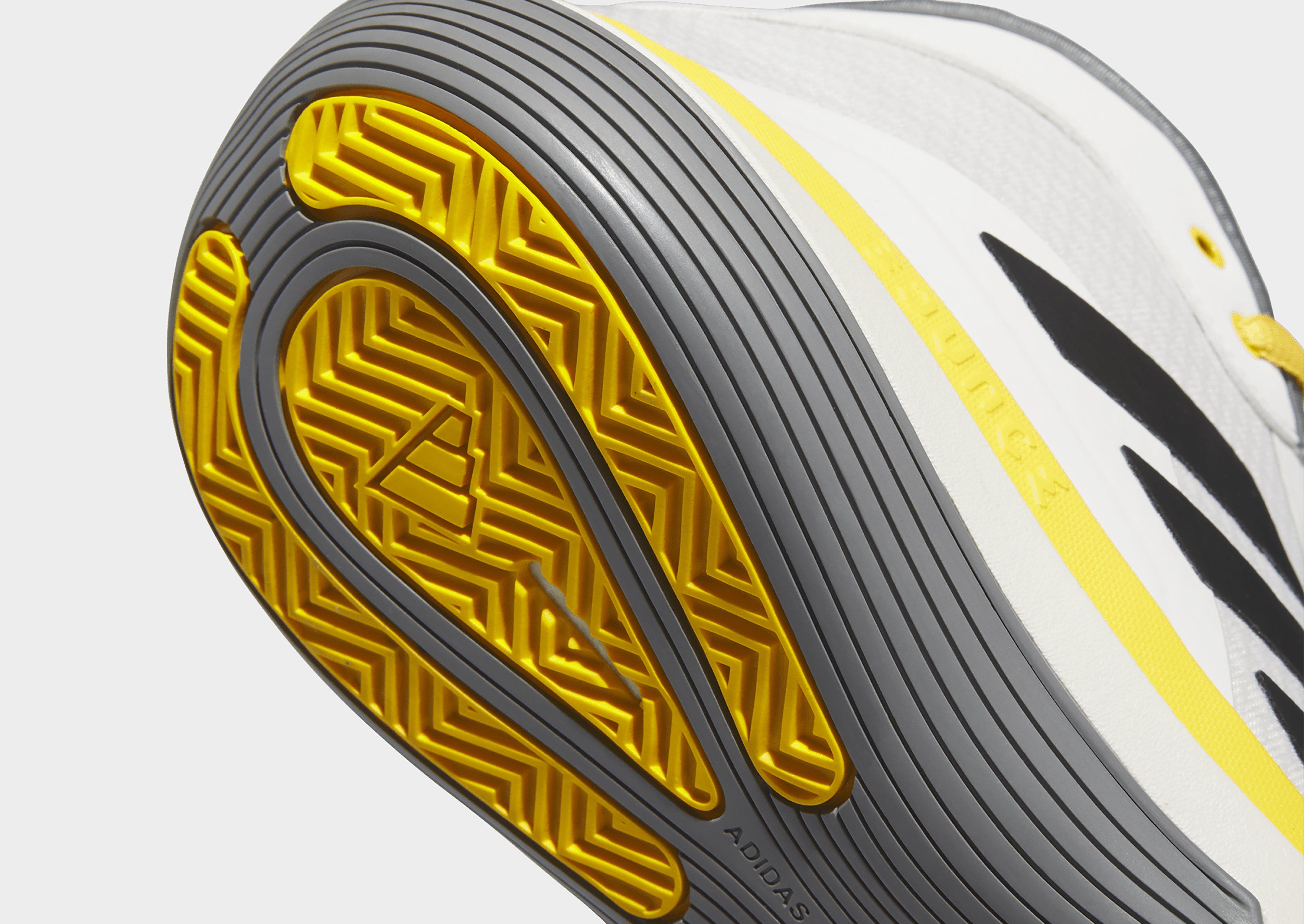 adidas Bounce Legends Schoenen